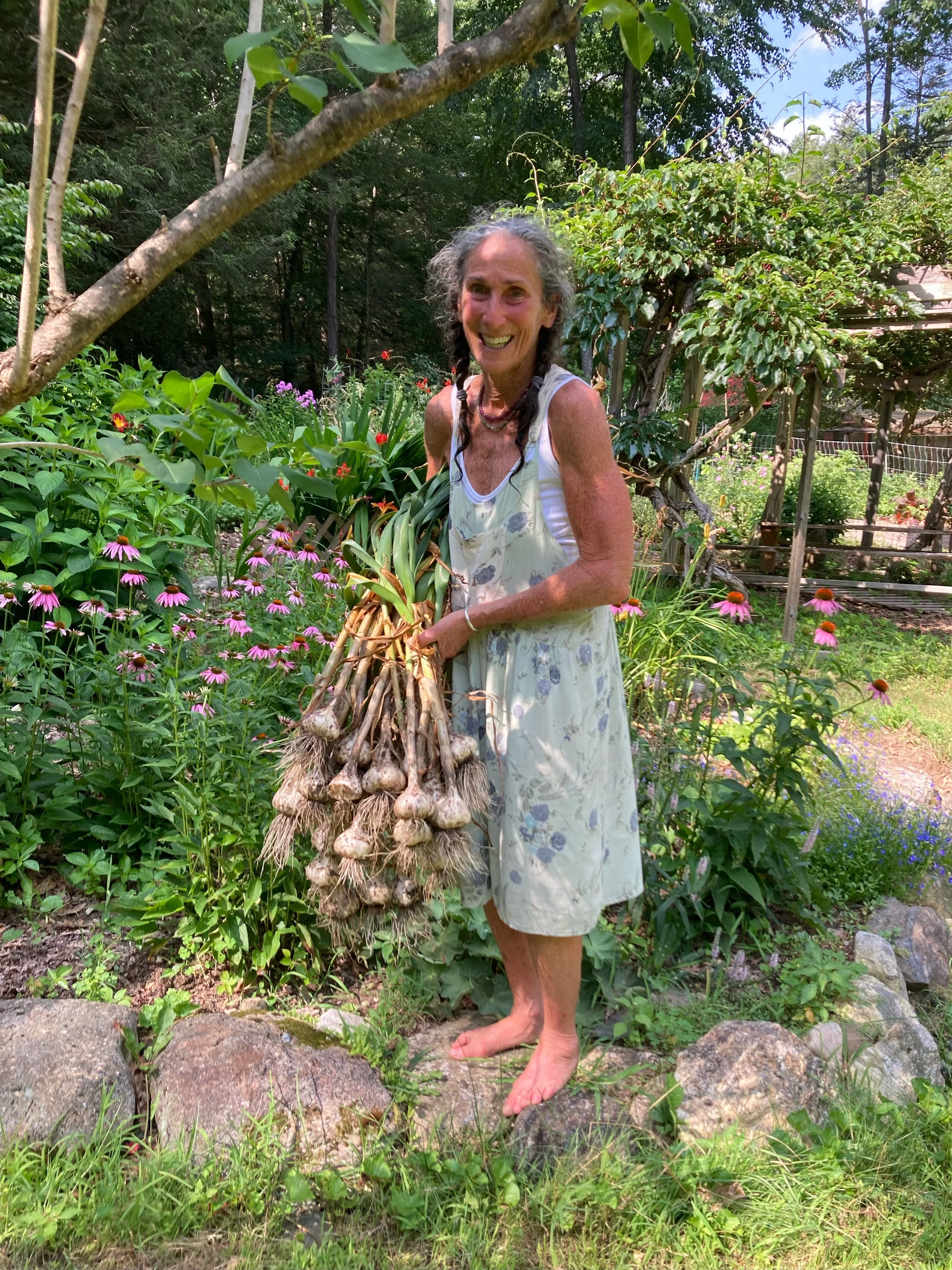 Person standing in garden holding a large bundle of harvested garlic, surrounded by flowers and plants, on a sunny day.
