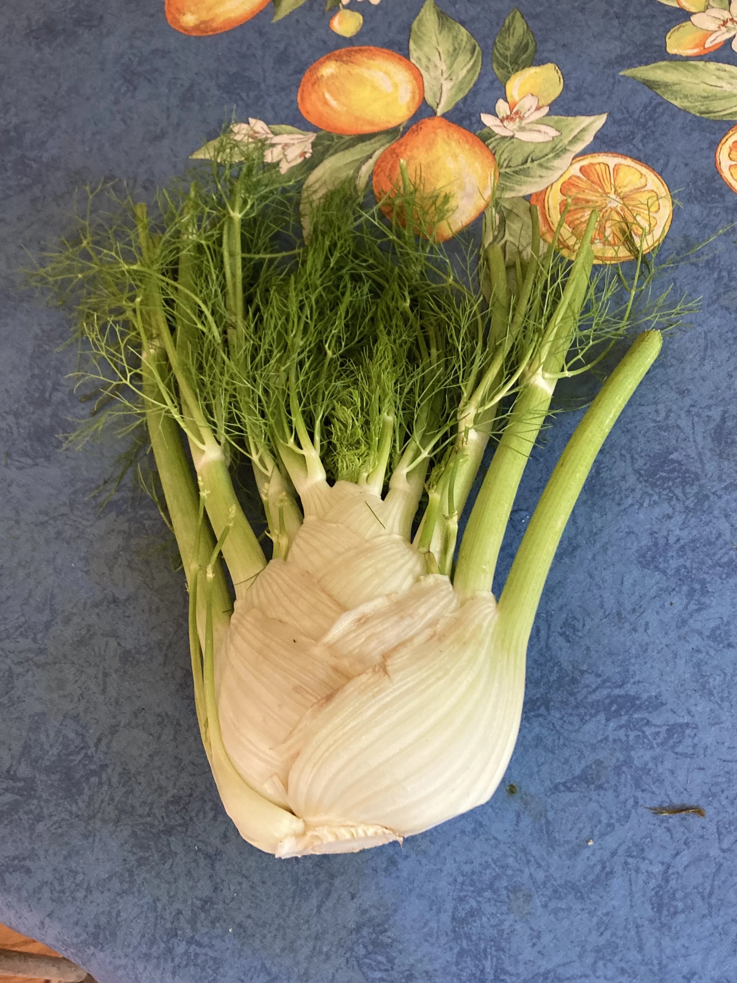 IMG_6383cooking with shakti.jpg