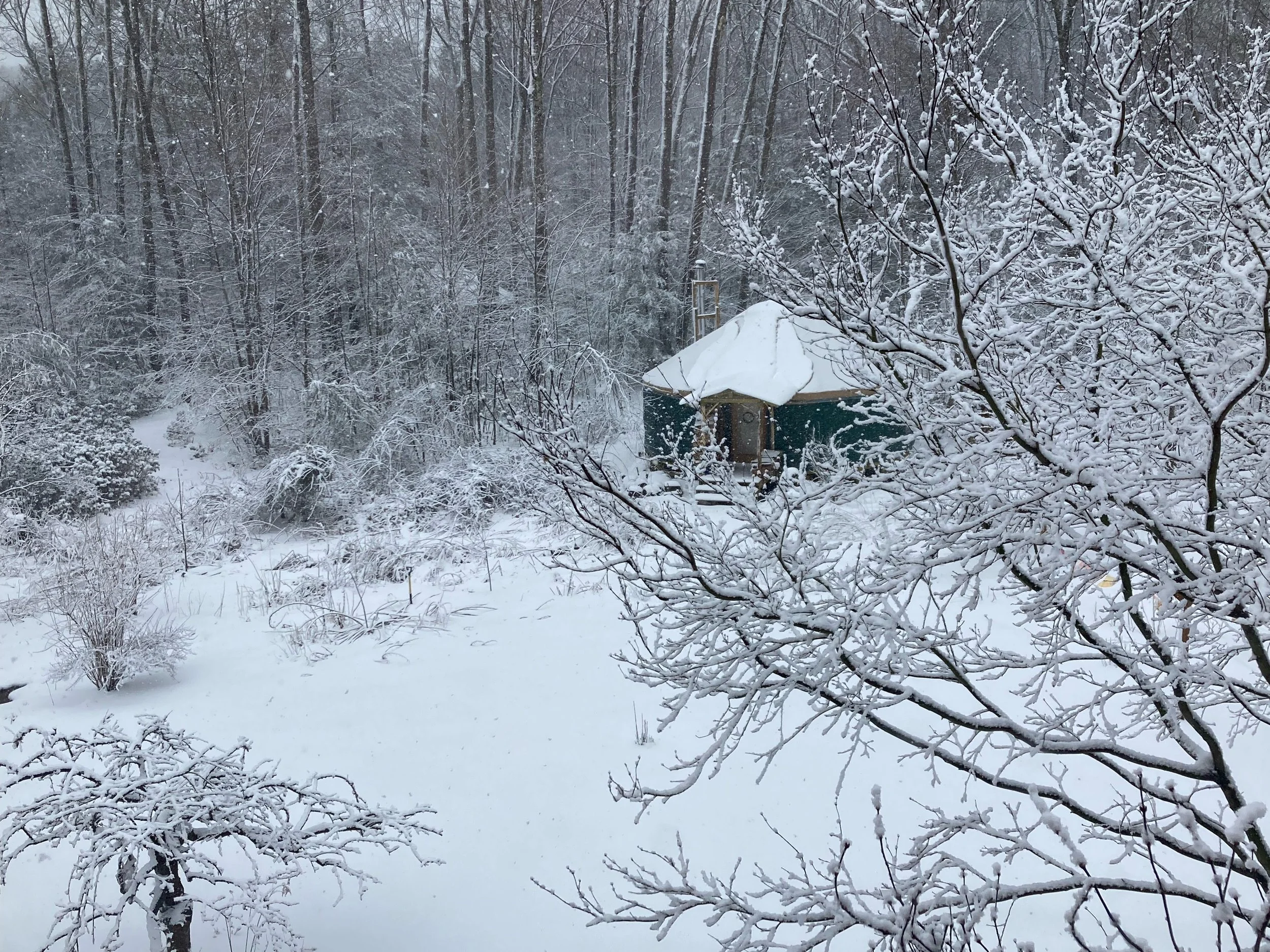 Winter landscape with a yurt surrounded by snowfall and snow-covered trees in a forest.