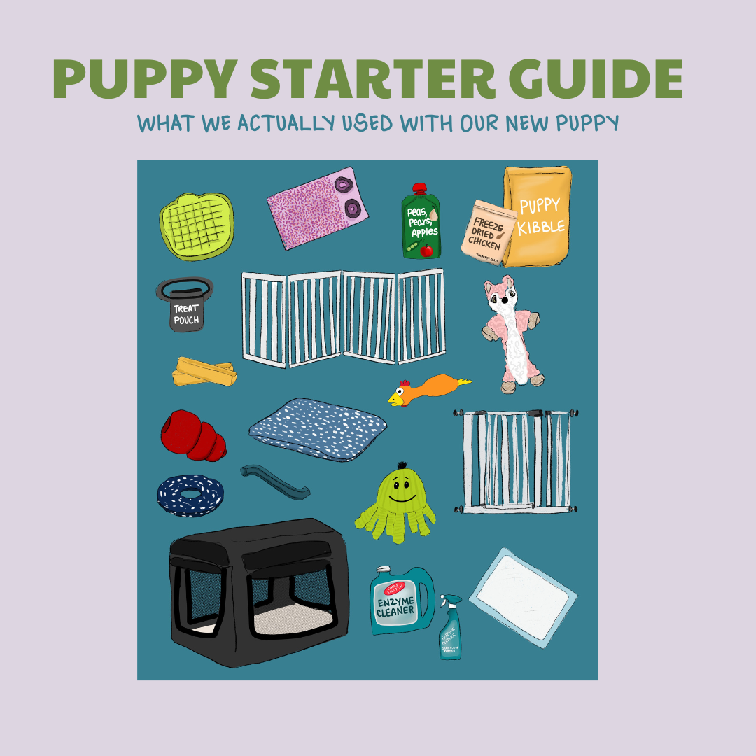 Puppy Starter Guide: What We Actually Used