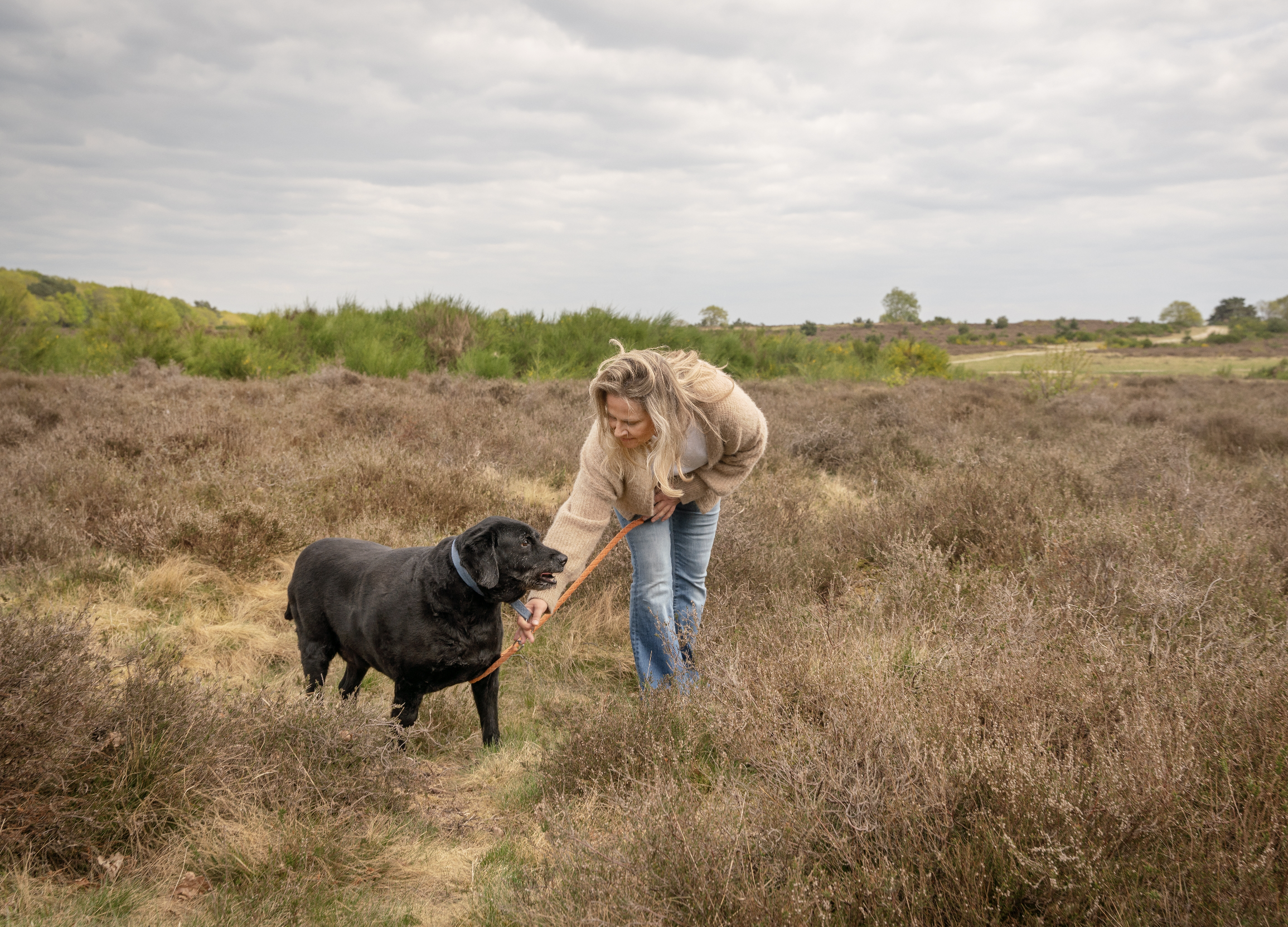 Ferienhaus-met-hund-ouddorp-dunen