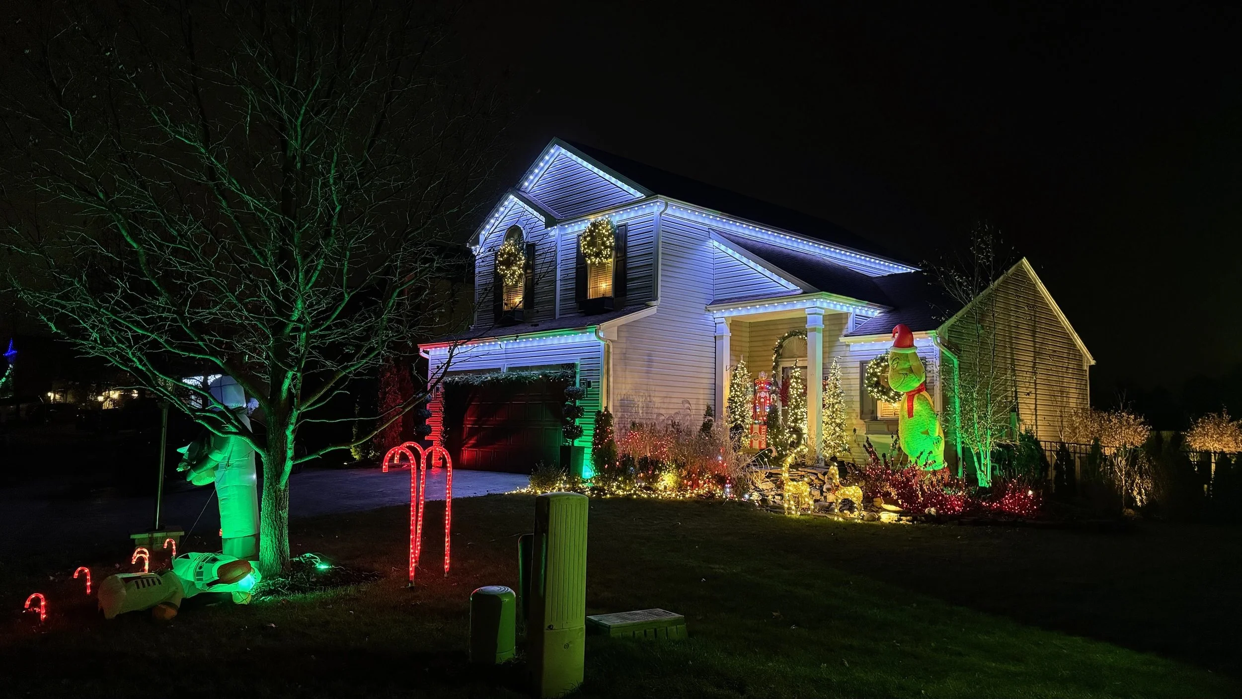 A house decorated with colorful Christmas lights at night, including a large inflatable green dog wearing a red Santa hat, candy cane-shaped lights, and various illuminated Christmas trees and ornaments in the yard.