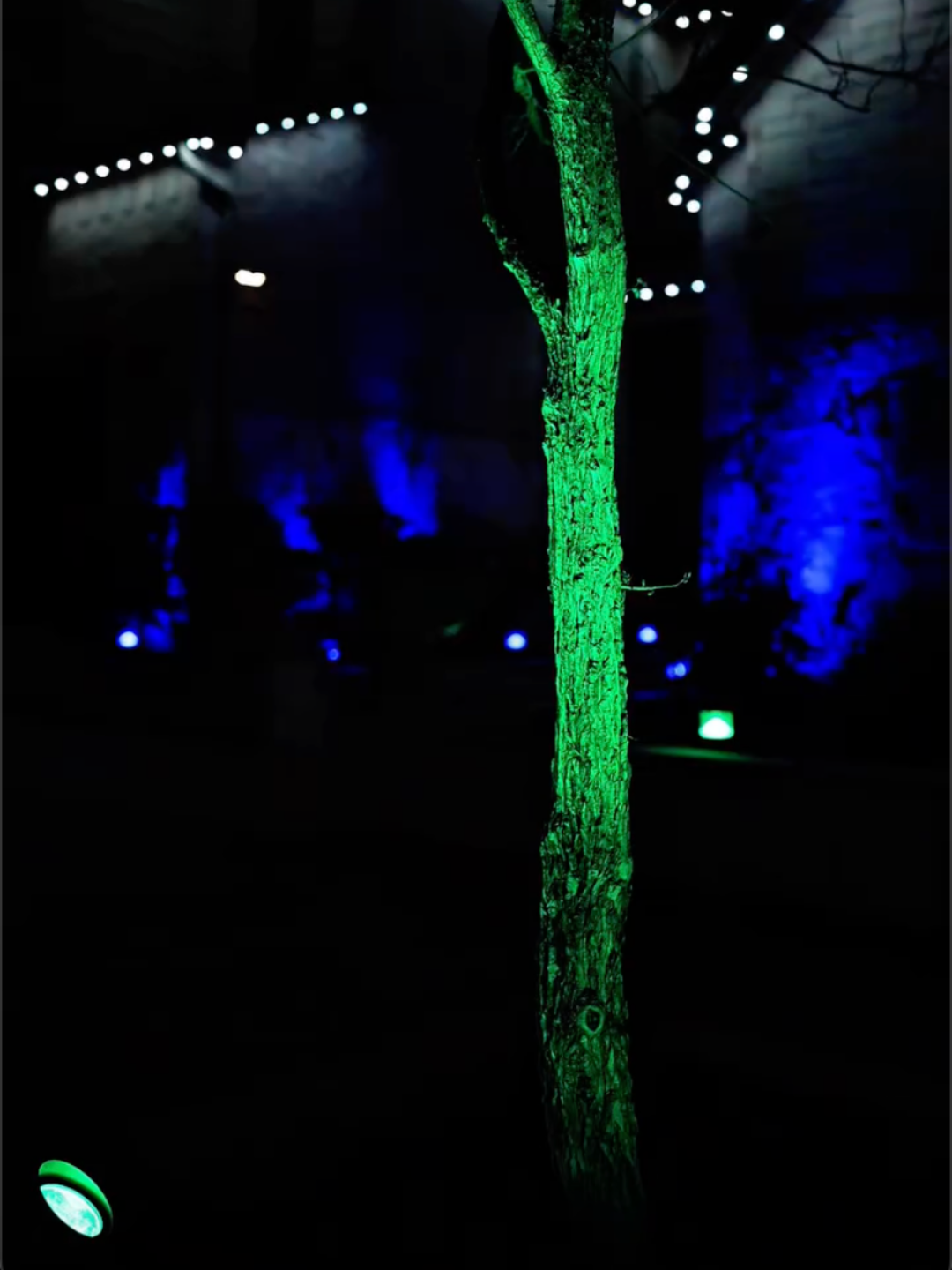 A tree illuminated with green light stands in a dark room with blue lighting on the walls, and ceiling lights overhead.