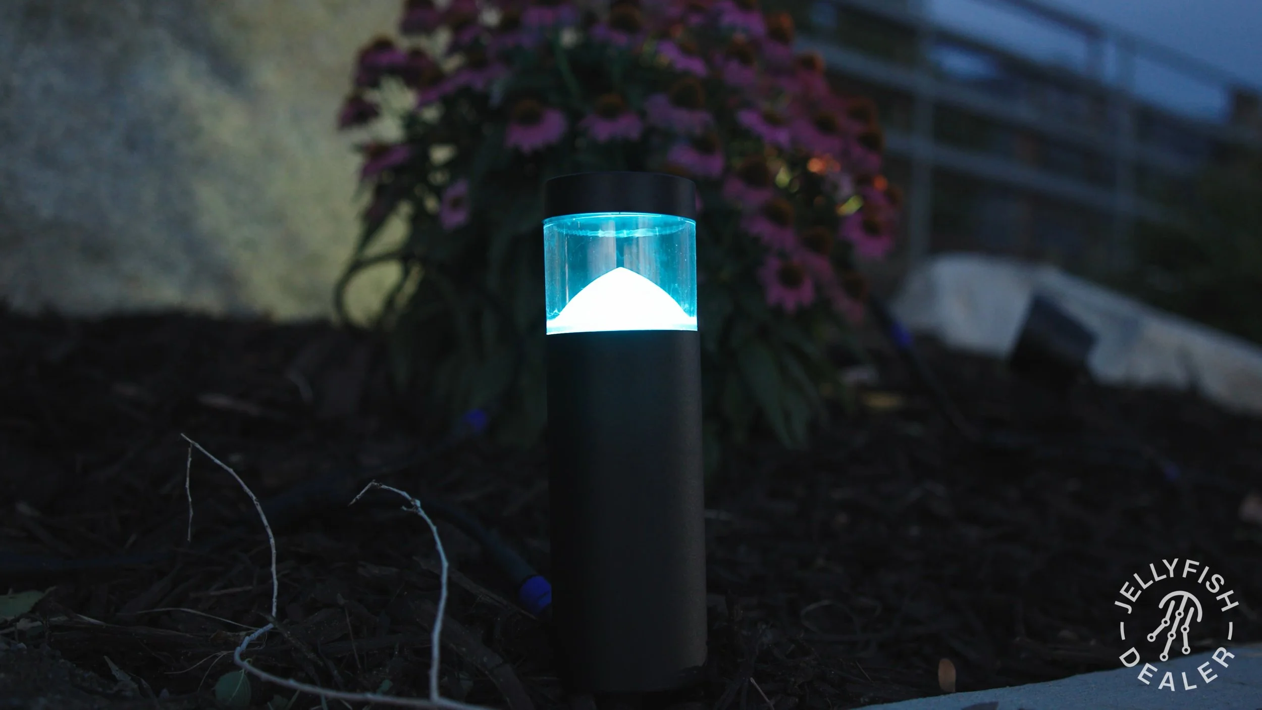 A pathway light with a glass top emitting a cool blue glow, located in a garden area with soil, twigs, and a background of purple flowers and a house or building wall.