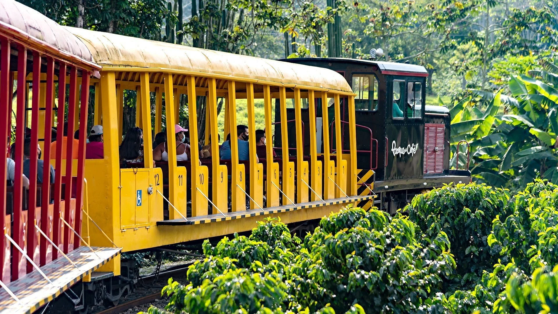 Tren-Parque-del-Cafe.jpg