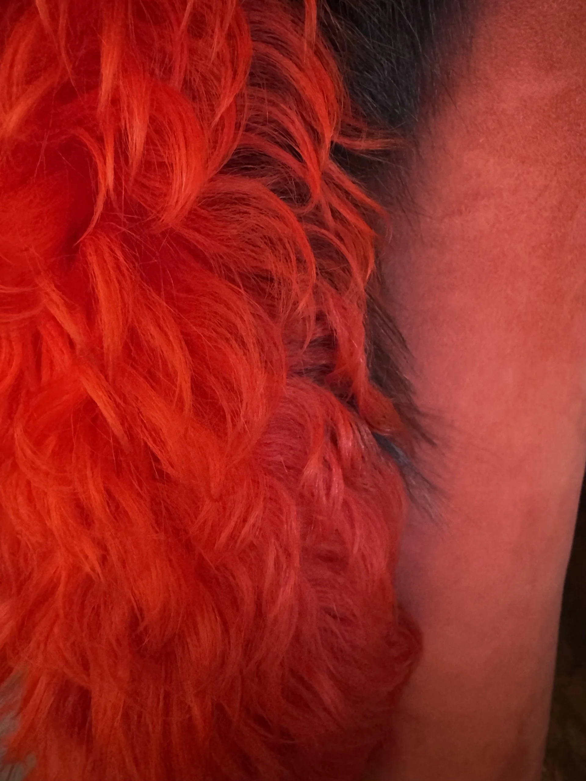 woman orage coat lining.jpg