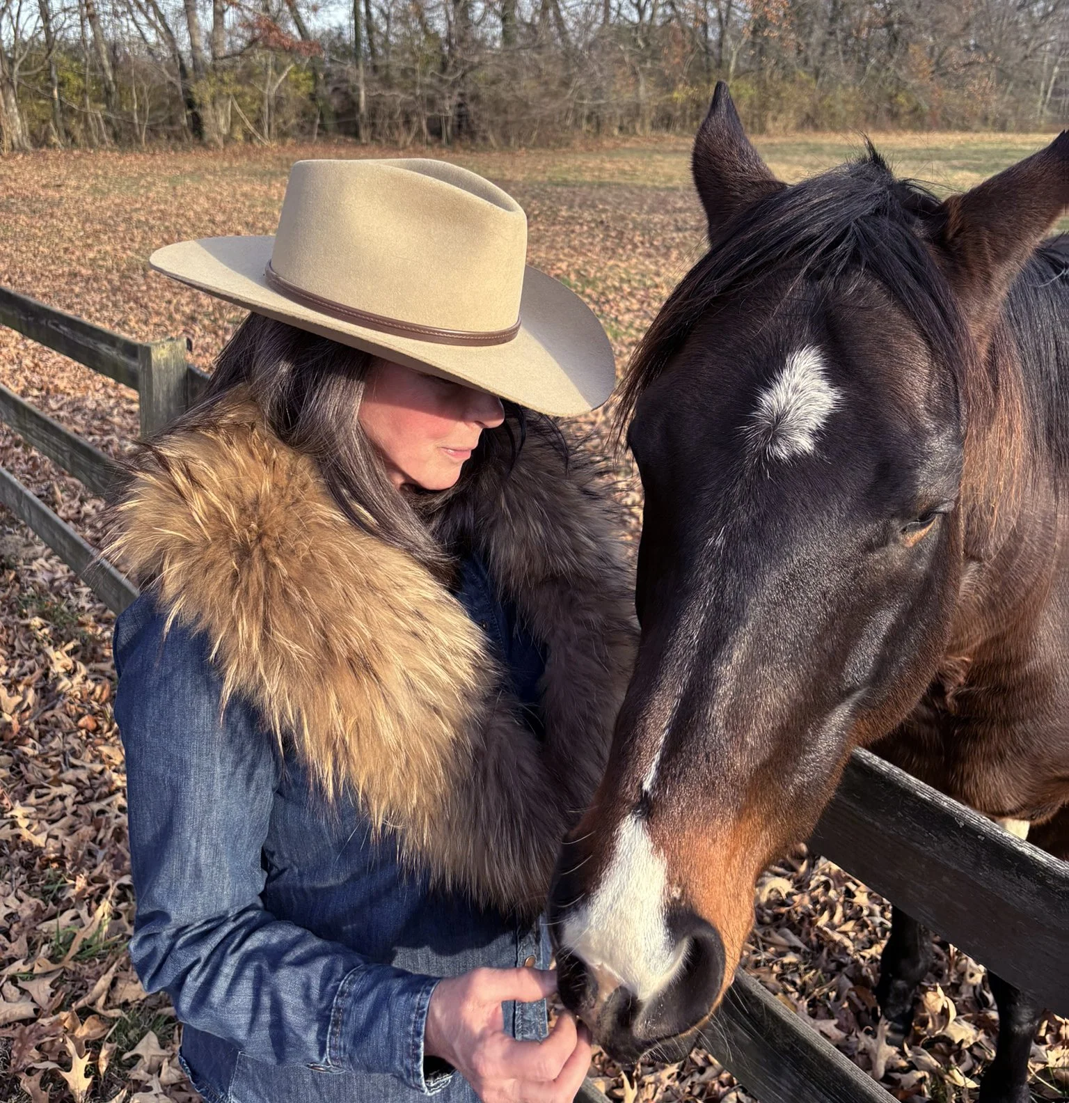 COLLAR_Finnish Racoon_251123_001.jpg