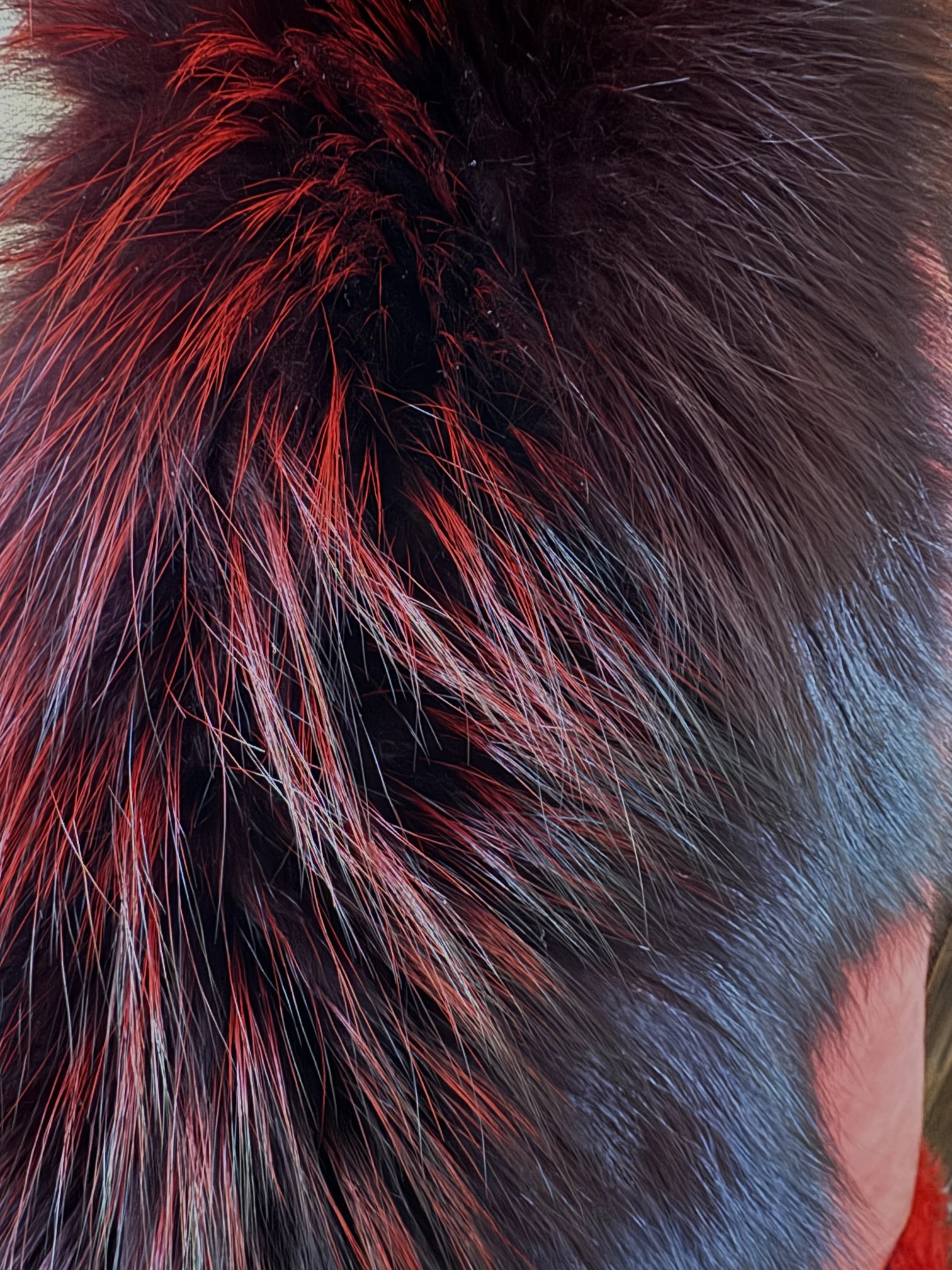 woman coat orange fur collar.jpeg