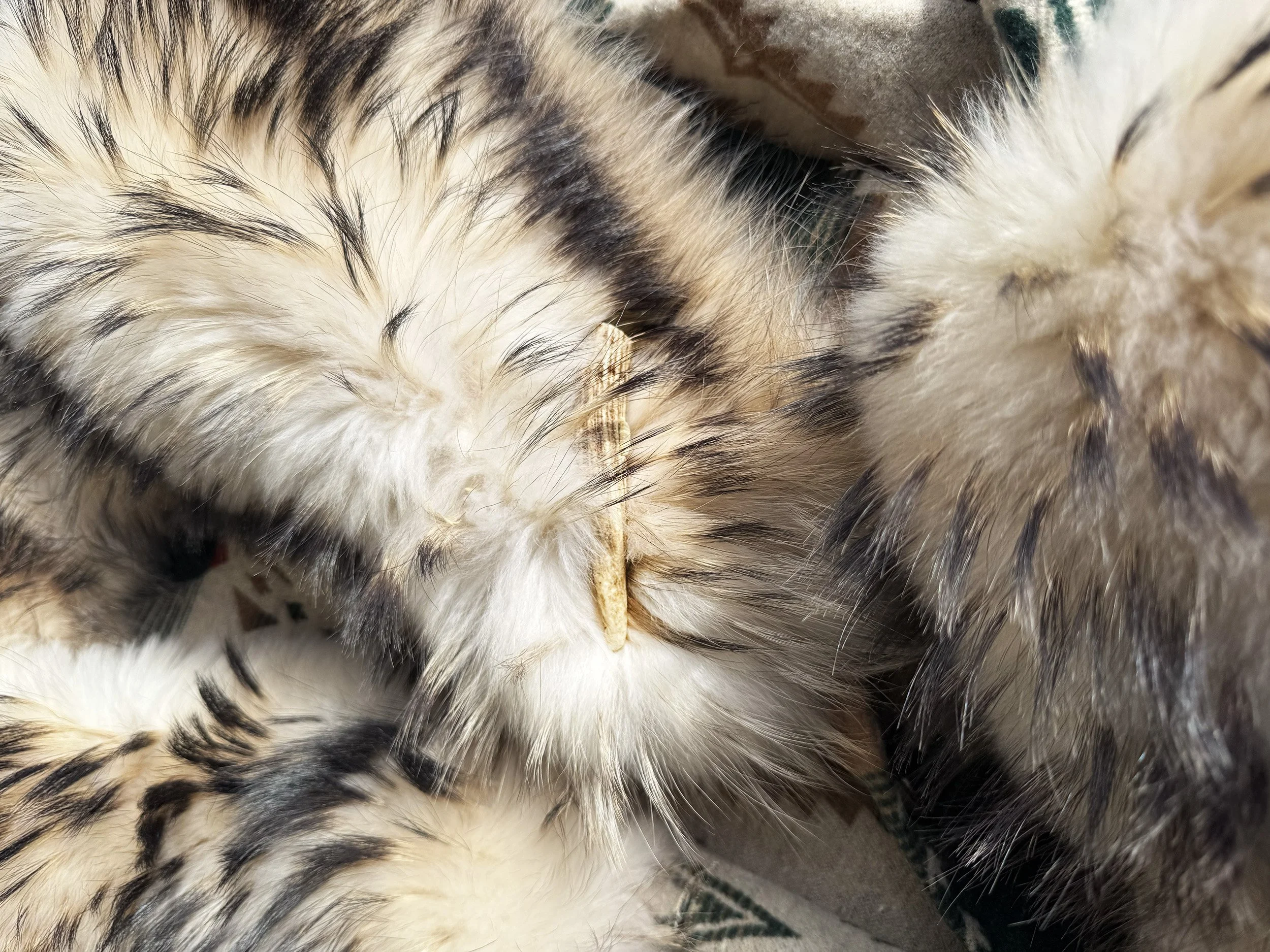 AZTEC FUR_ Finish Raccoon_Green Burgandy_ 251203_002.jpg