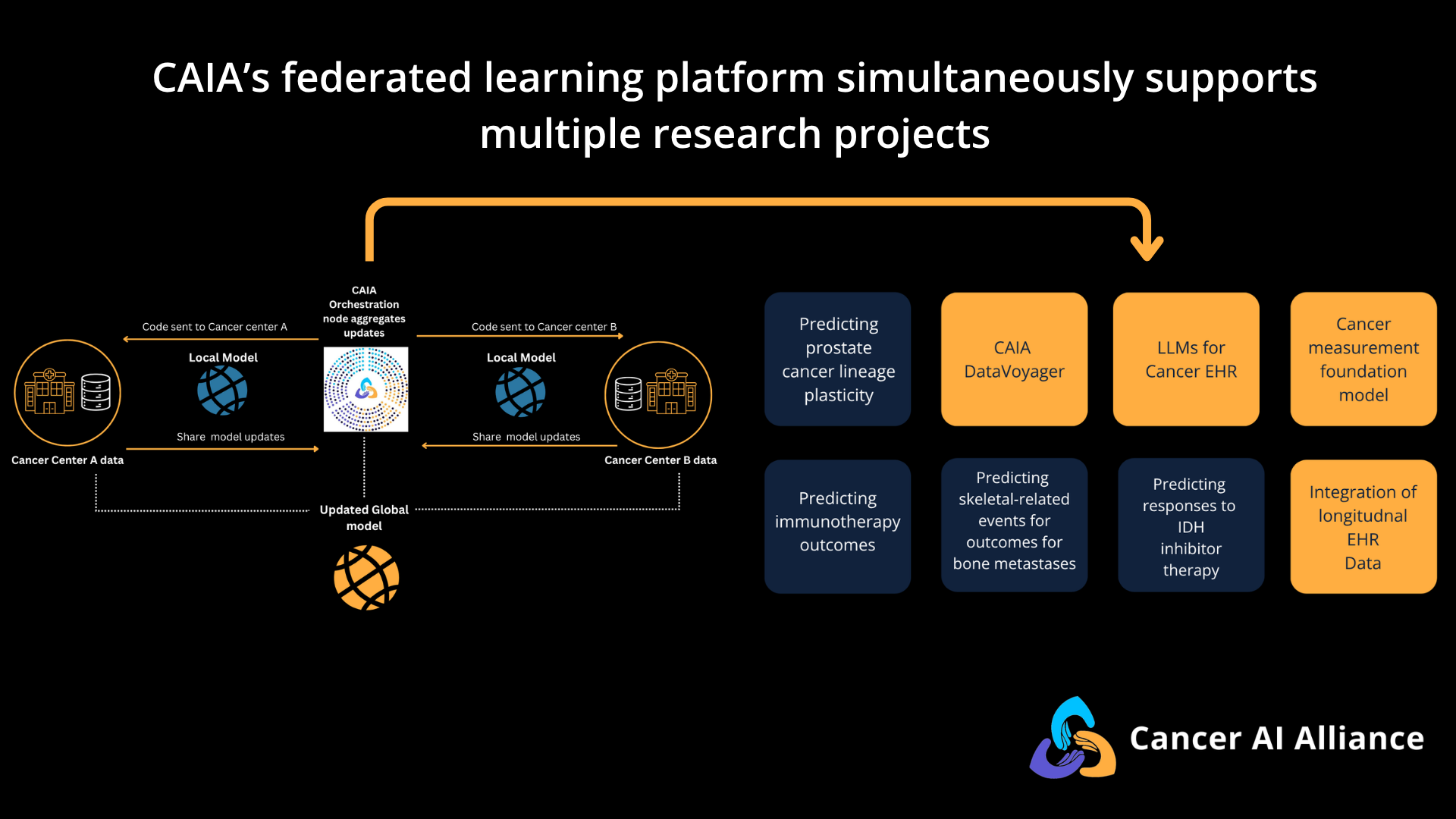 Why the Cancer AI Alliance (CAIA) prioritizes a platform approach to ...