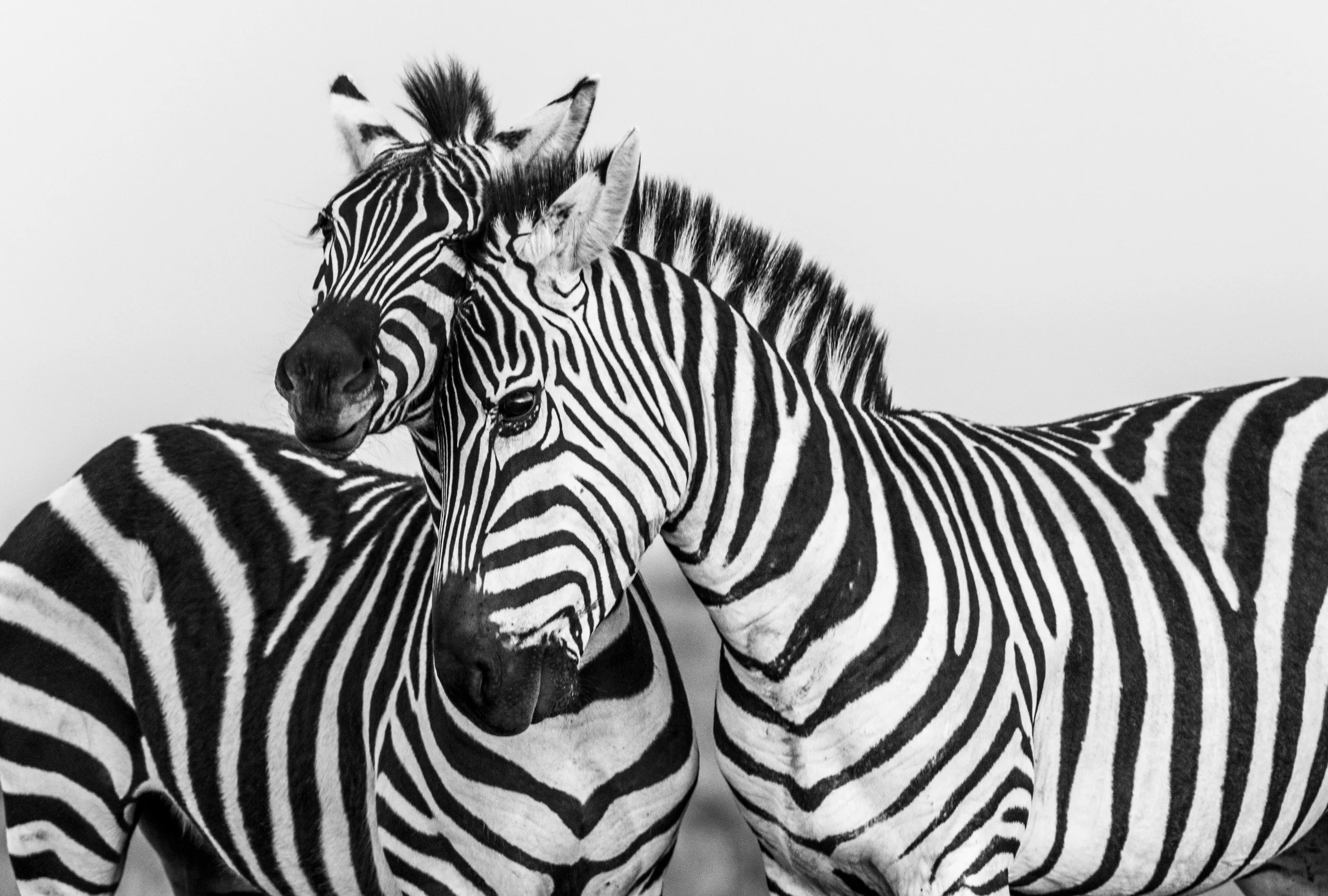 Polyvagal Theory, Part 2: The State Tells The Story