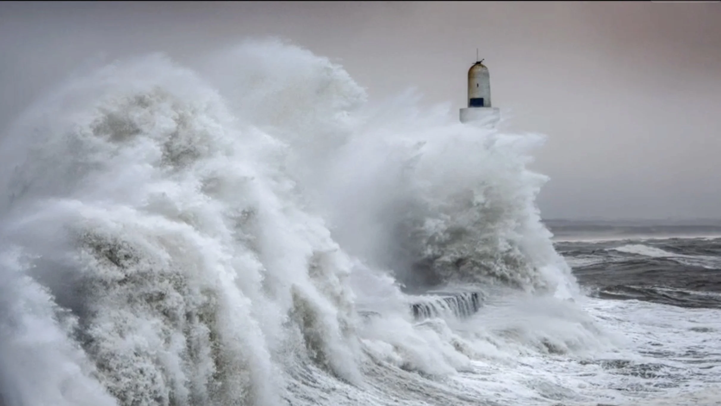 Weathering the Storm: the Importance of Allies on my Health Journey