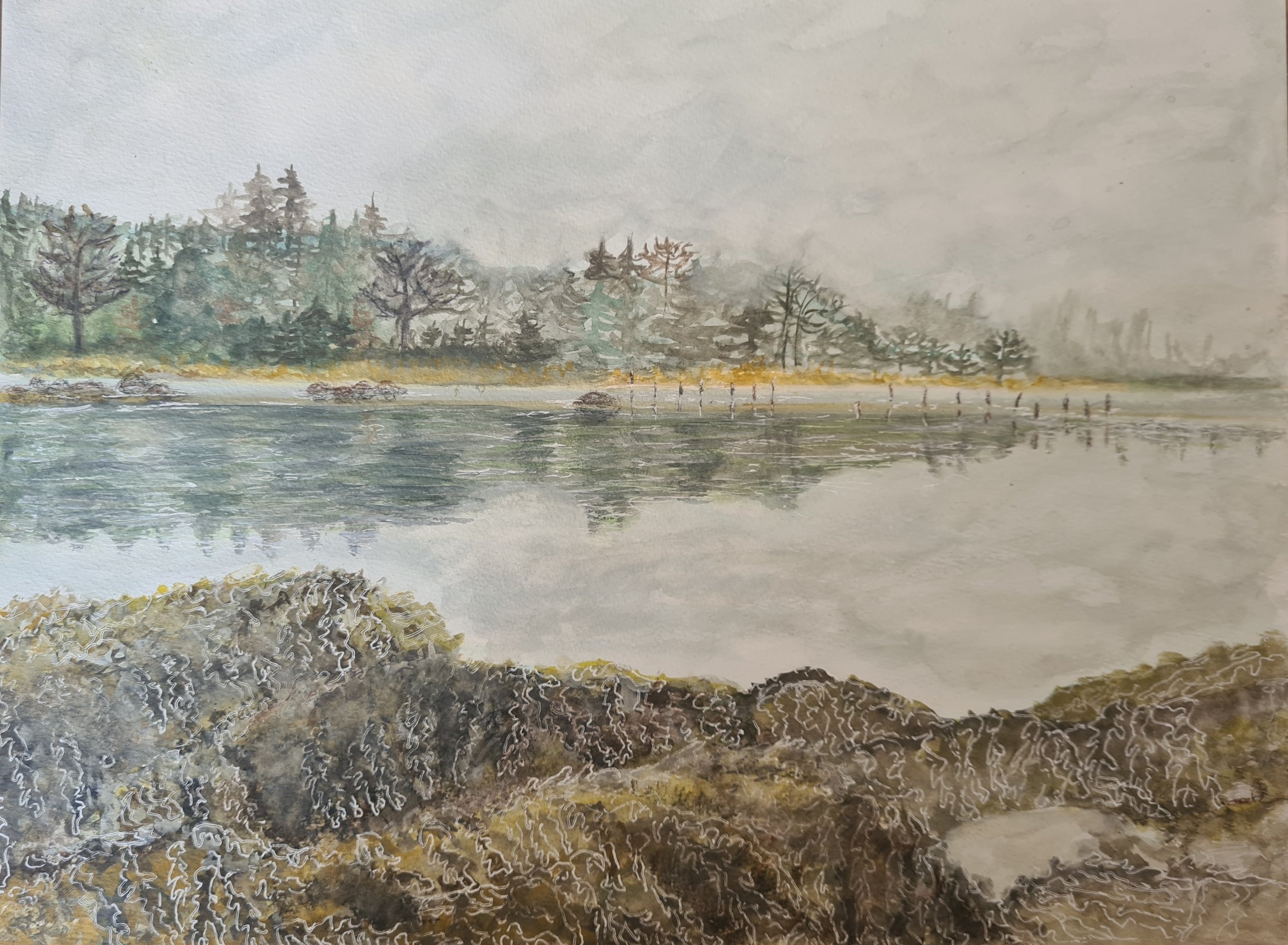 landscapessaltings.jpg