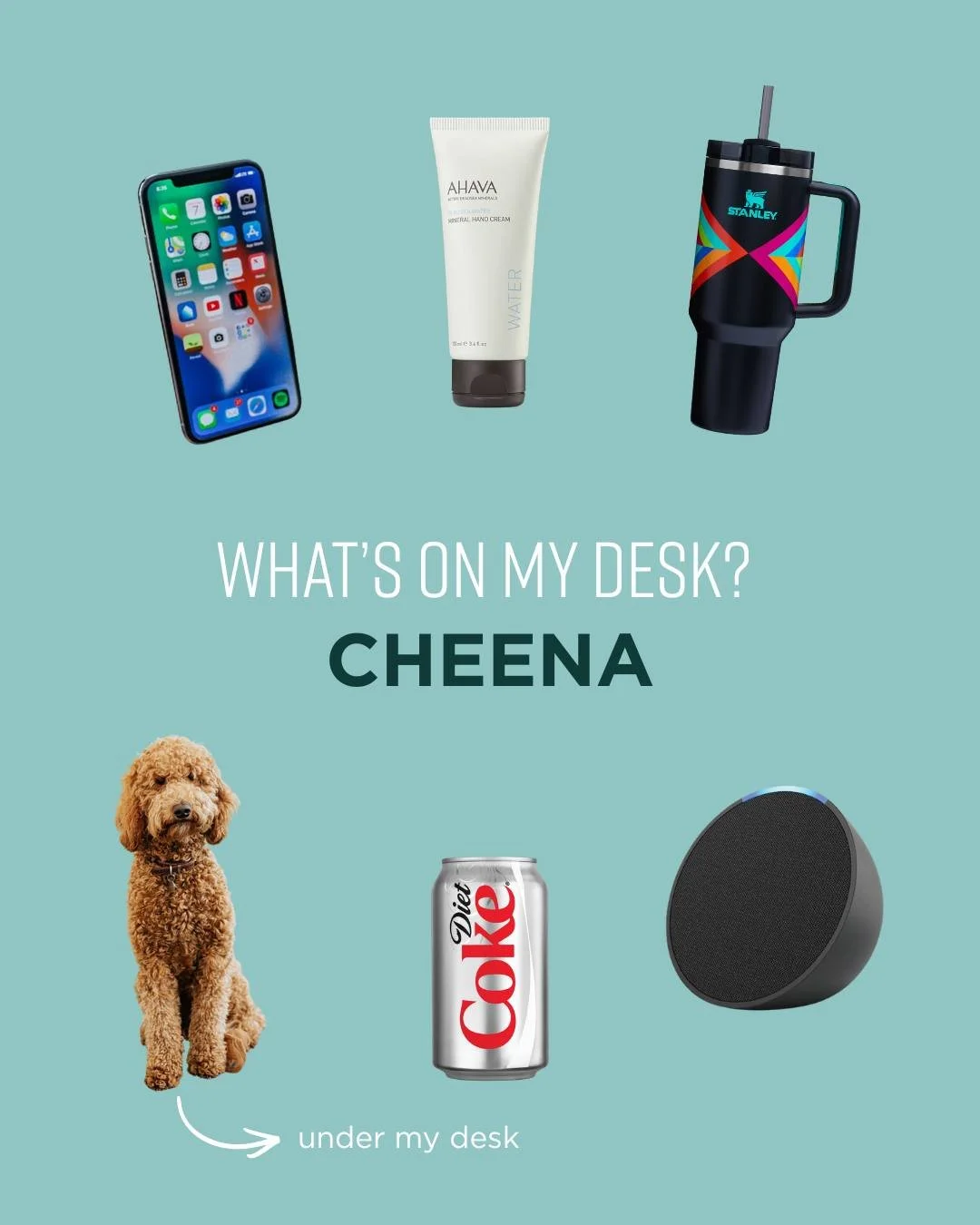 Our desk essentials 🧑&zwj;💻

[public relations agency] [public relations]