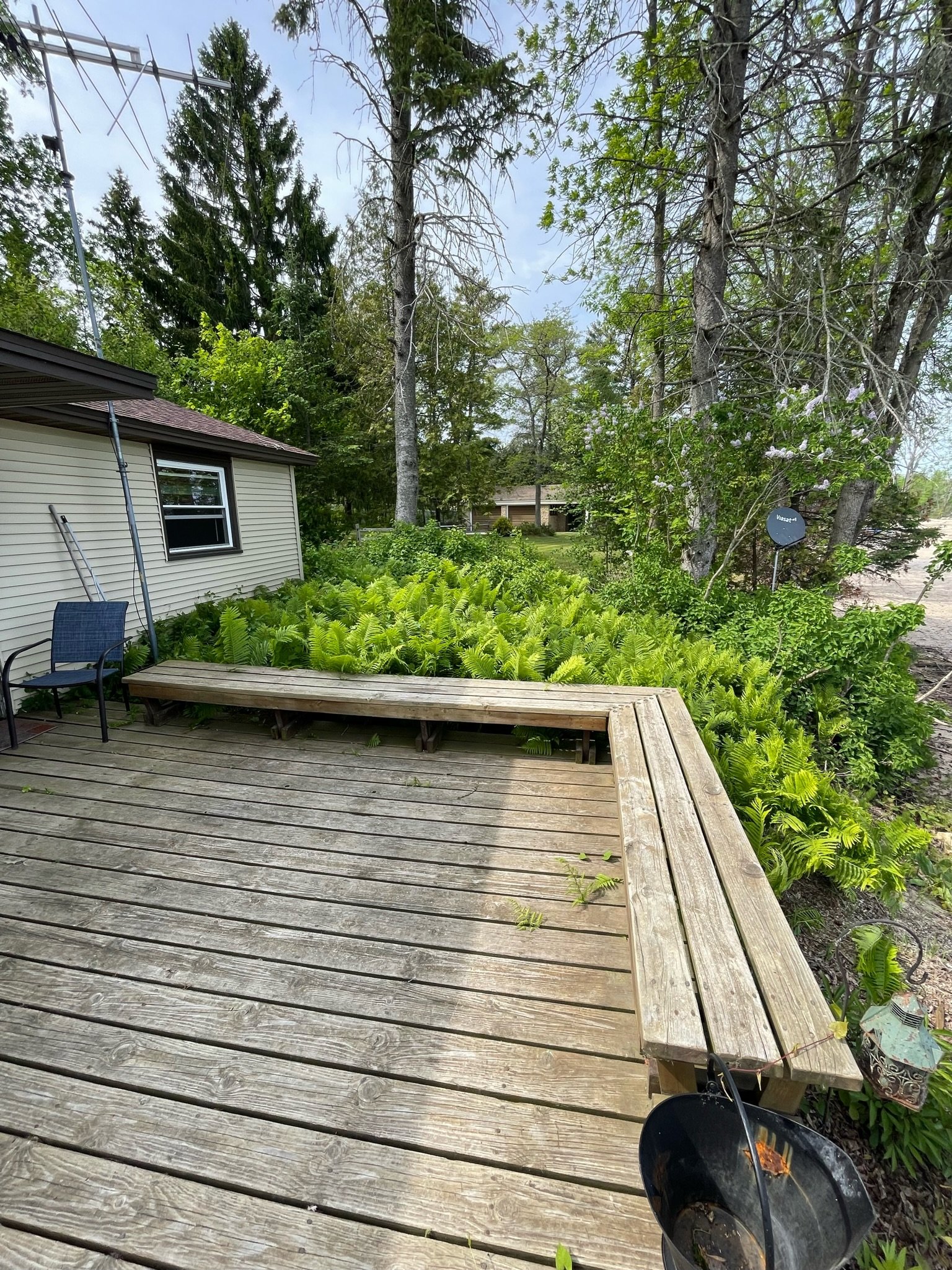 Welcome to the jungle?! We had to tackle some major backyard renovations.
