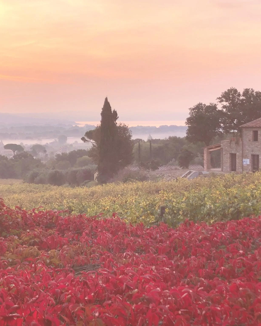 The Art of Living Retreat | Tuscany, Italy | The Salty Buddha