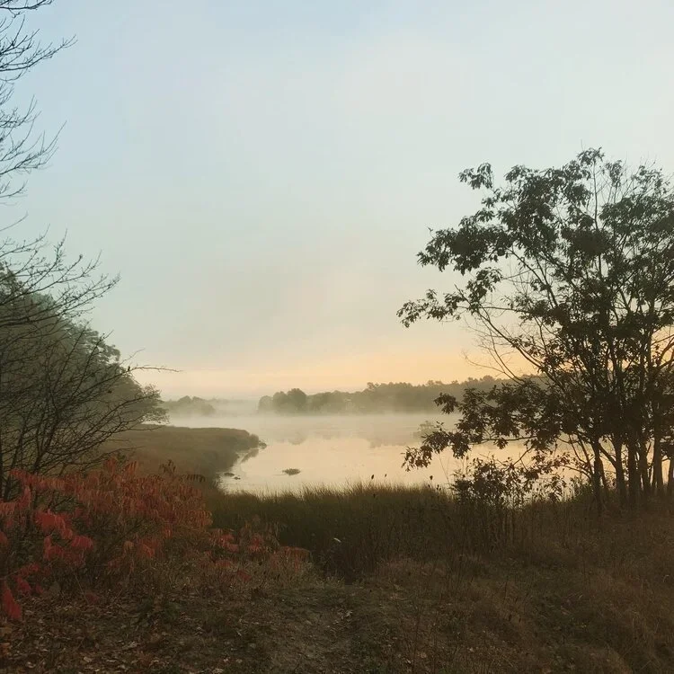 The Salty Buddha Summer '26 Retreat