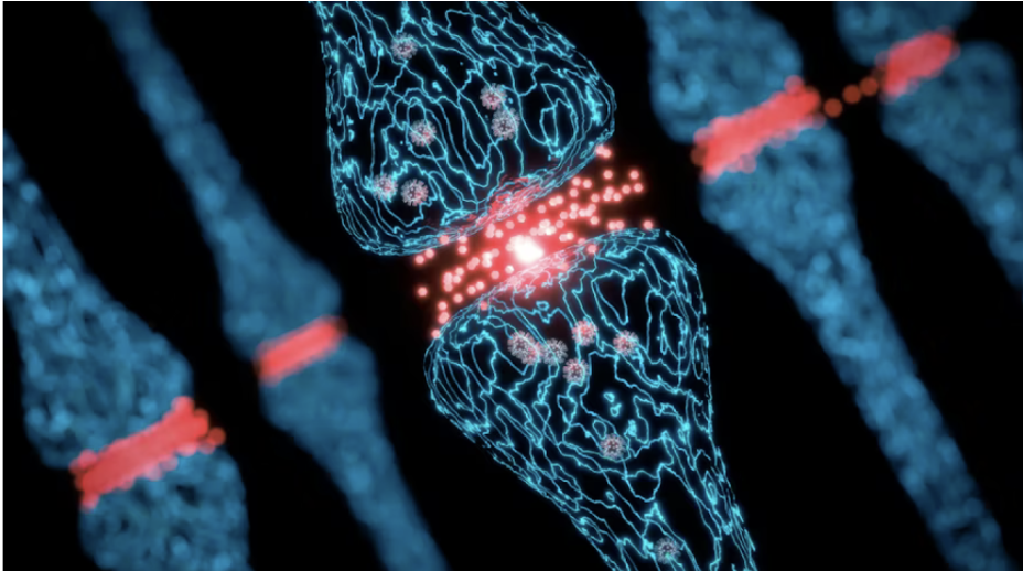 “And I keep hittin' repeat-peat-peat-peat-peat-peat”: A look into repeat expansion disorders and their impact on the brain and body.