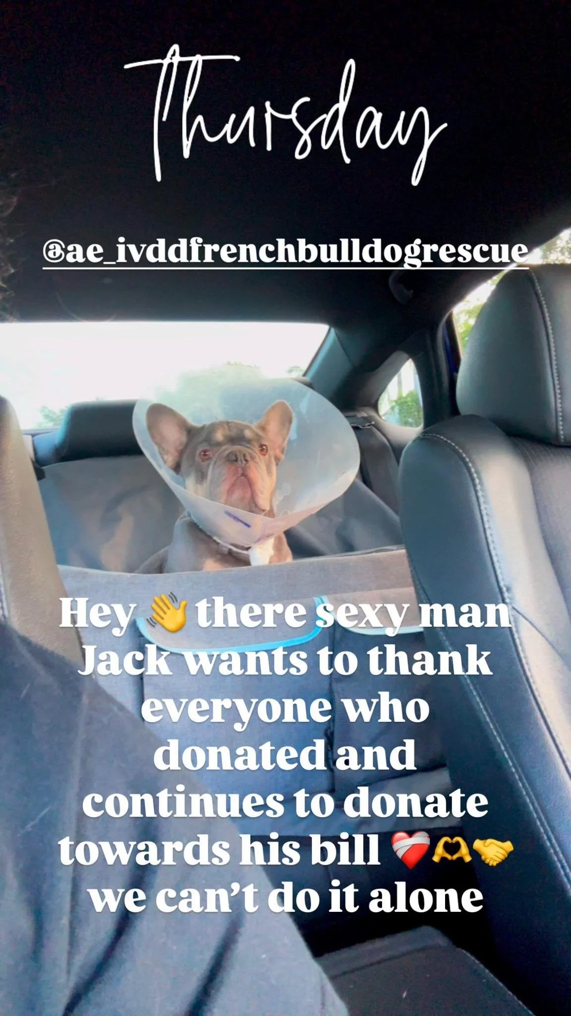 A E IVDD French Bulldog Rescue inc 501c3
Thank you to everyone who has been donating towards jacks outstanding bill it helps tremendously in the care we provide ❤️&zwj;🩹❤️&zwj;🩹