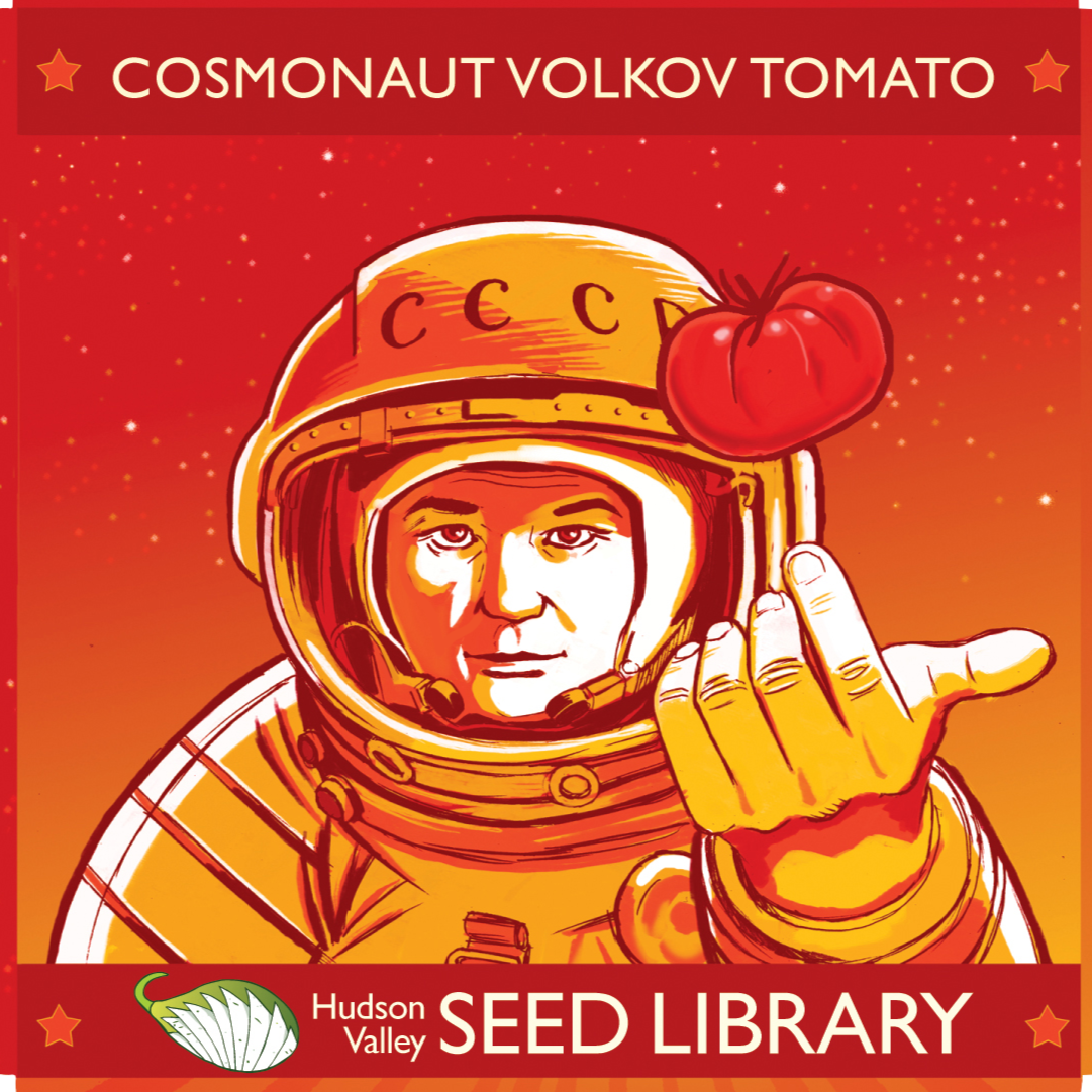 Illustration of an astronaut in a space helmet holding a tomato and making a gesture with their hand, with a red background and space stars. The text reads 'Cosmonaut Volkov Tomato' at the top and 'Hudson Valley Seed Library' at the bottom.