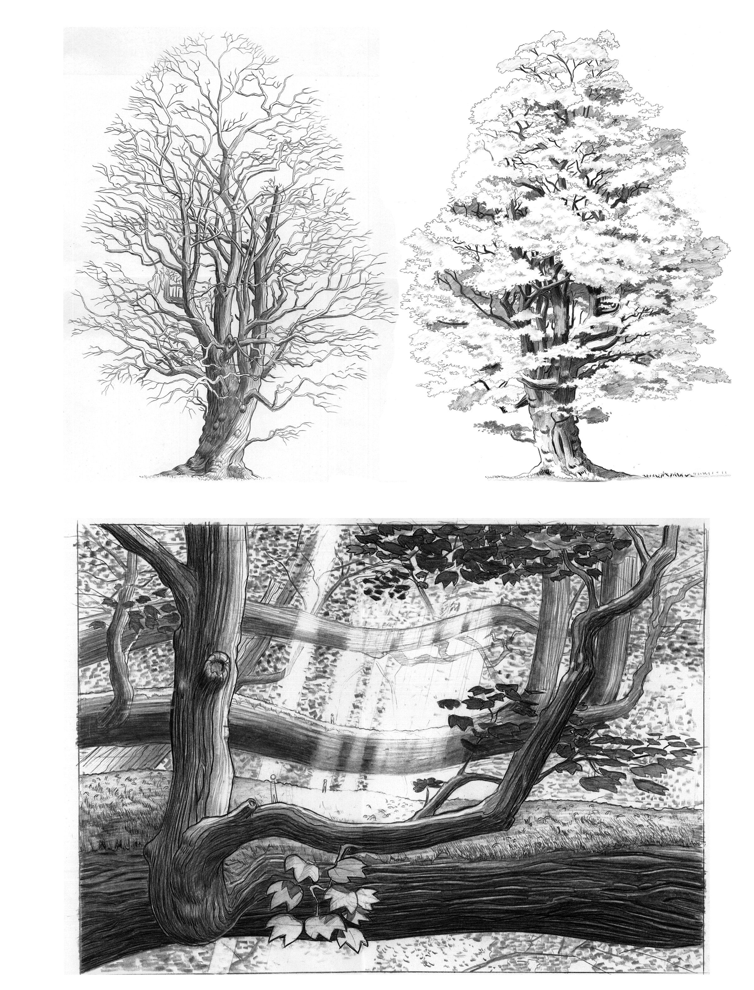 tree elves development_Page_1.jpg