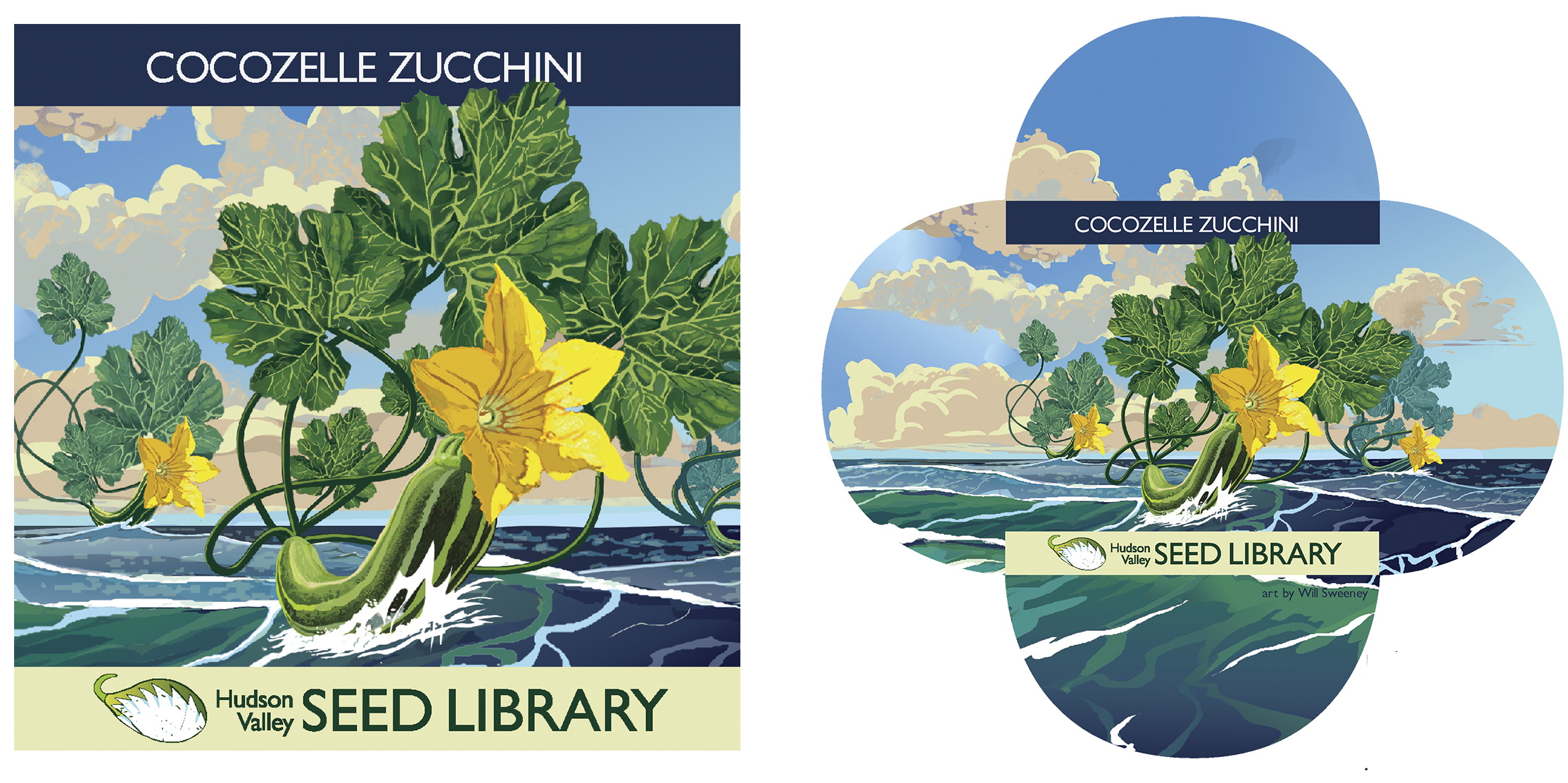 Illustration of a yellow zucchini flower and vine growing in water, with a blue sky and clouds in the background, labeled "Cocozelle Zucchini", promoting Hudson Valley Seed Library.