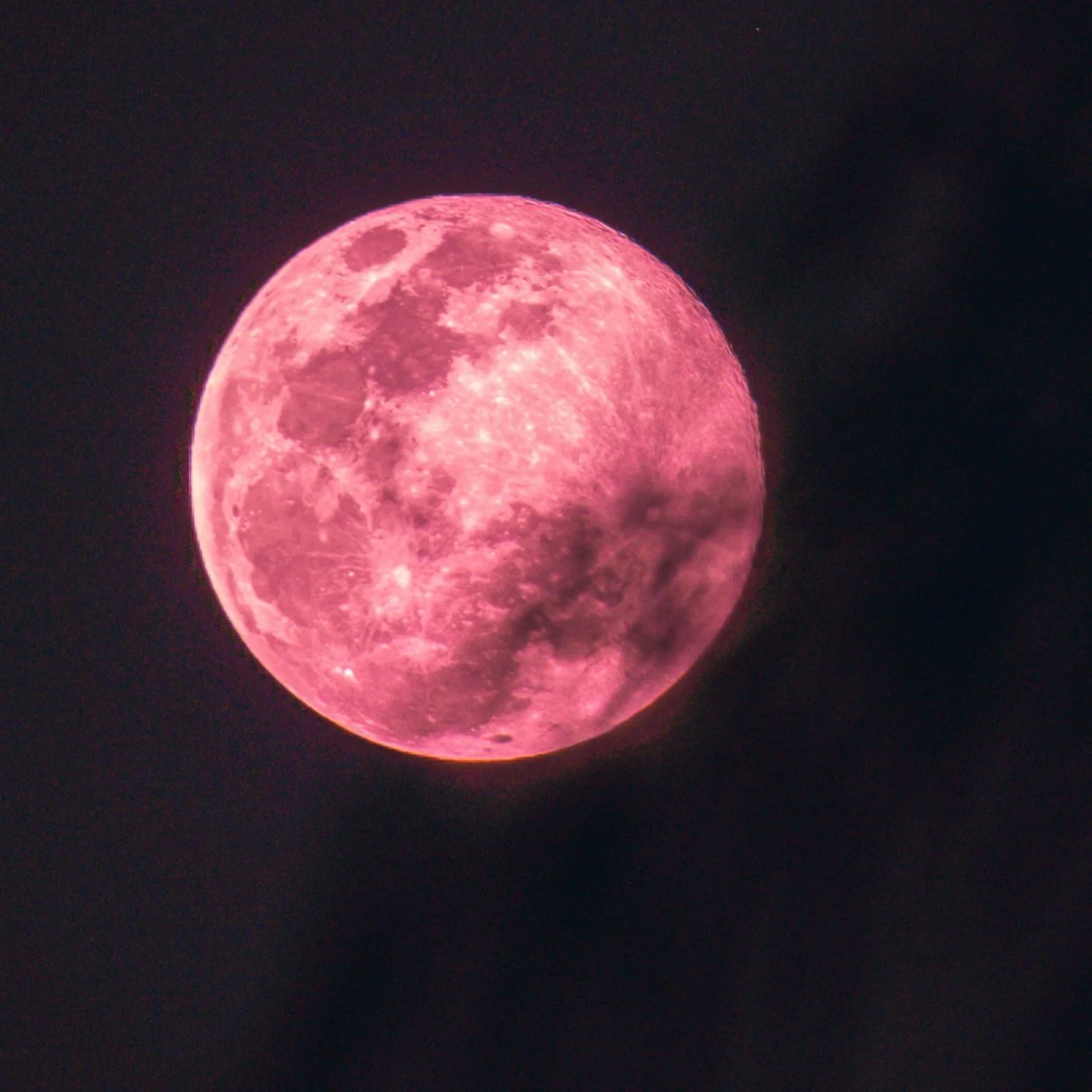 Strawberry Moon Yoga