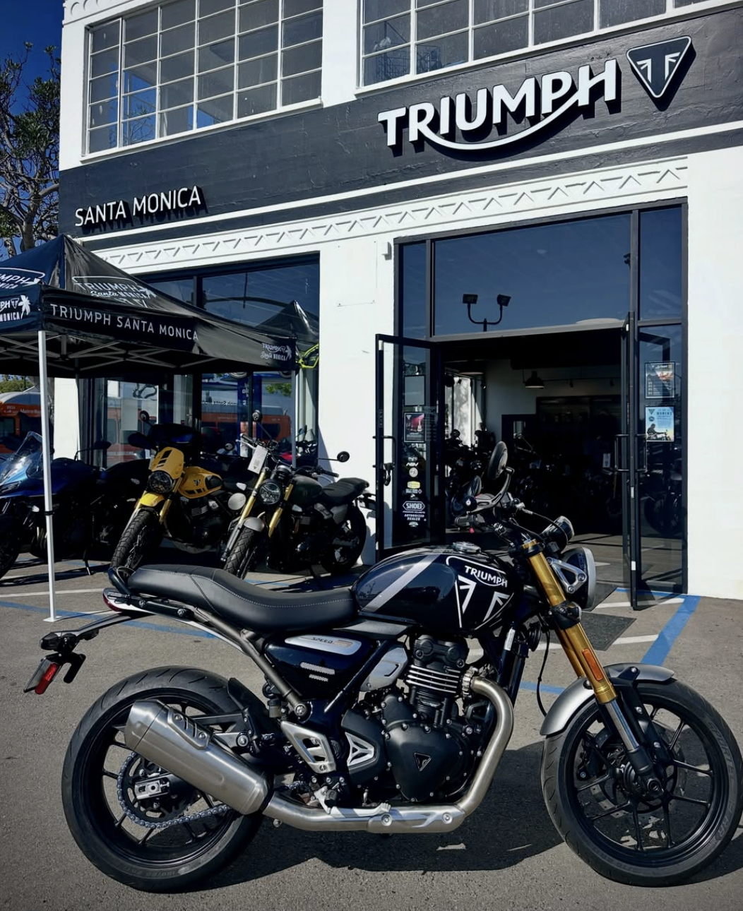 Triumph Motorycyle Reveal