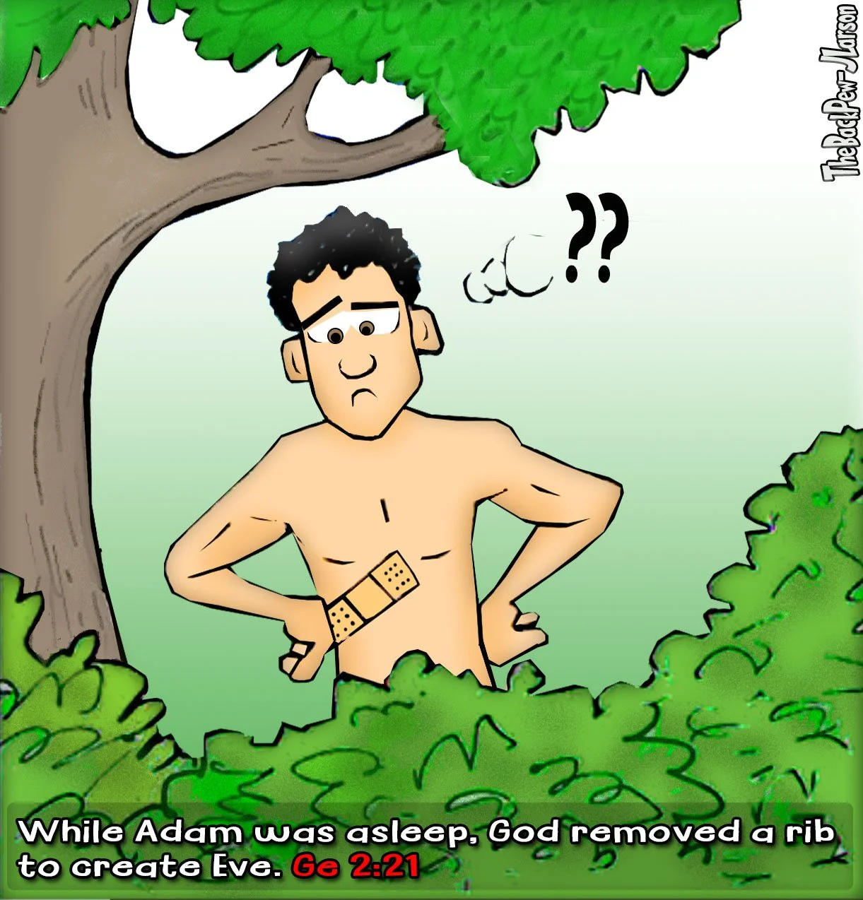 Creatation Cartoon Creation cartoons from Genesis chapters 1-3 — The Back Pew