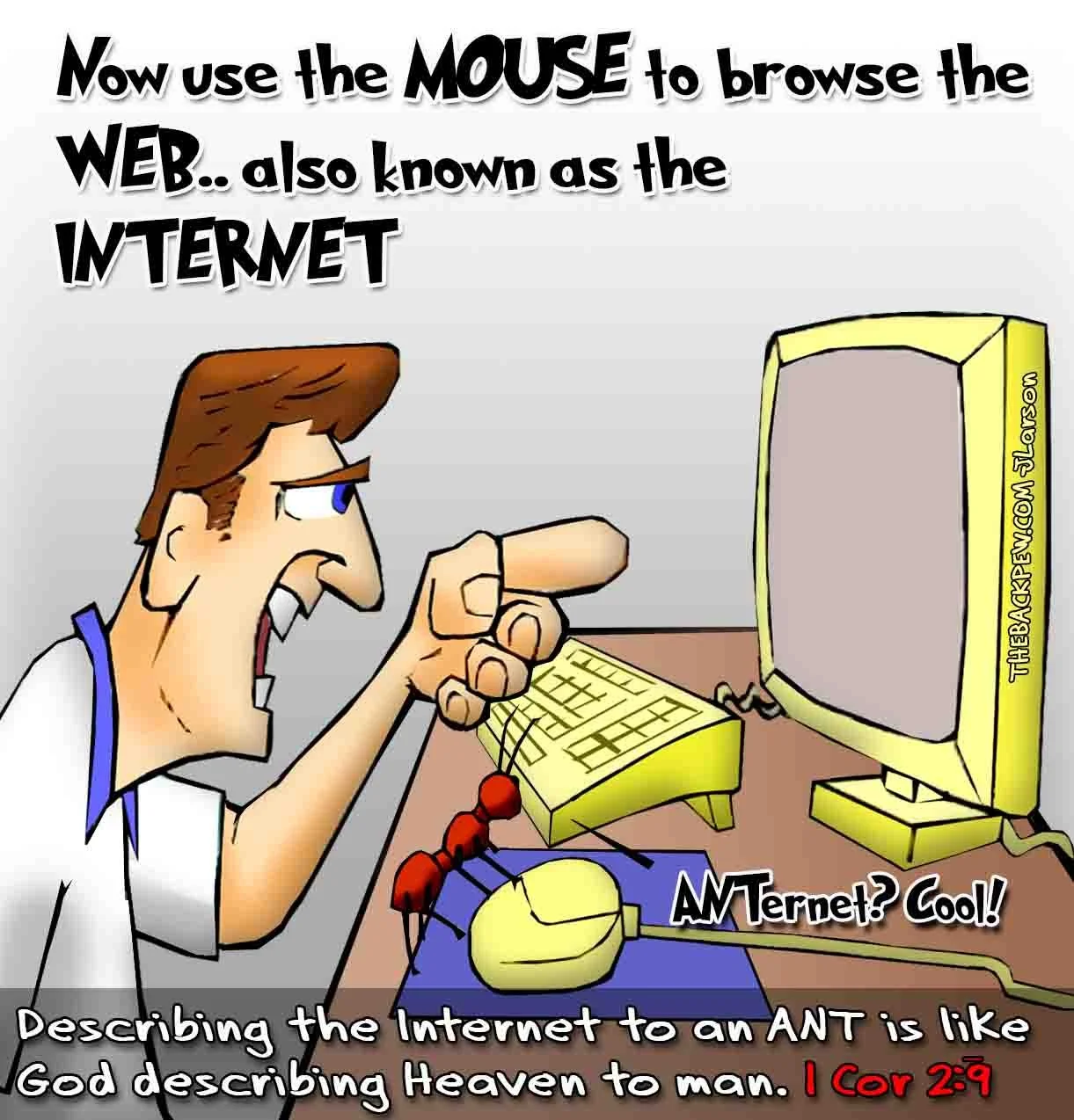 Ant Farms and Worker Bees