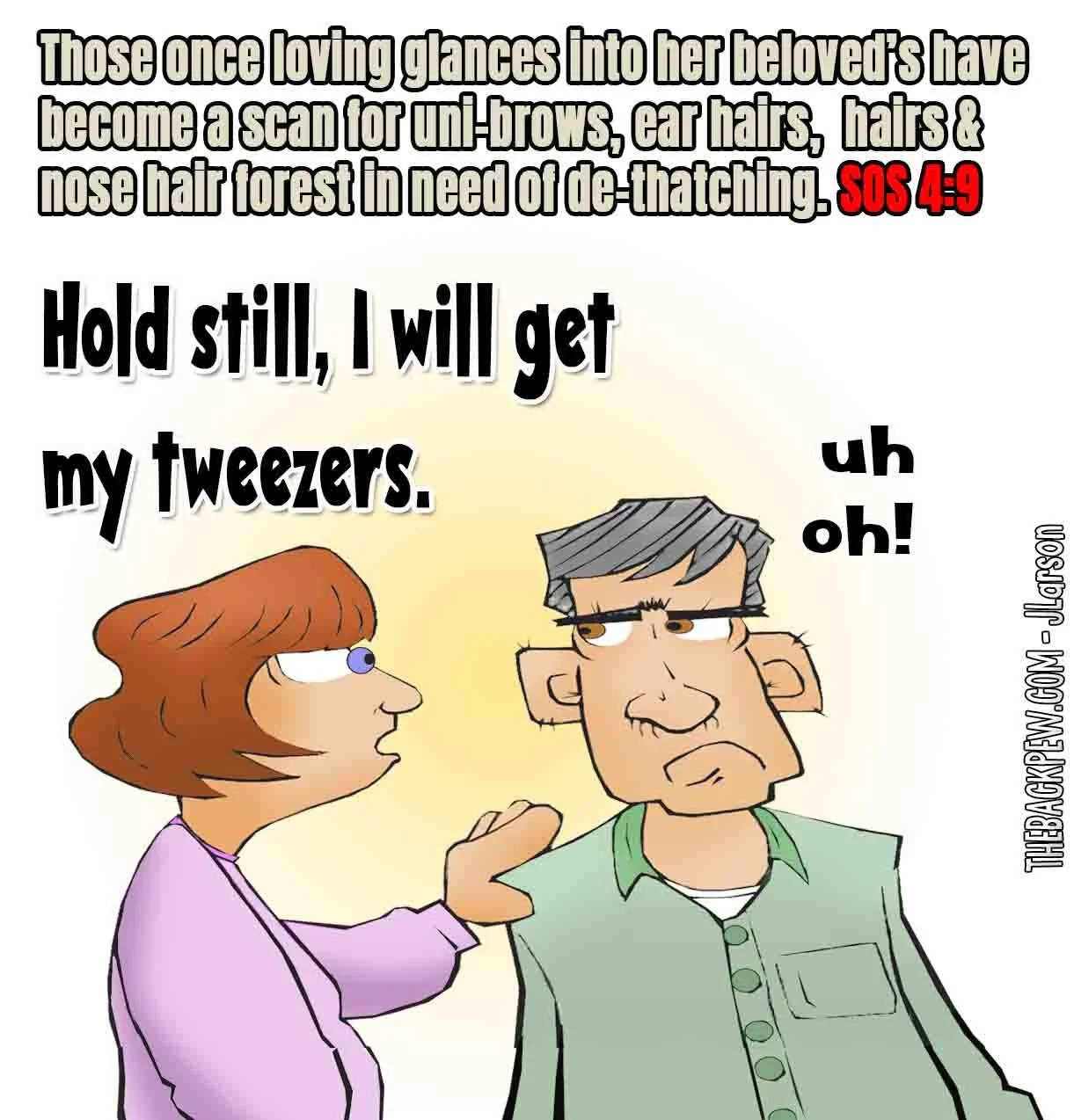 Marriage cartoon featuring loving glances, Song of Solomon 4:9