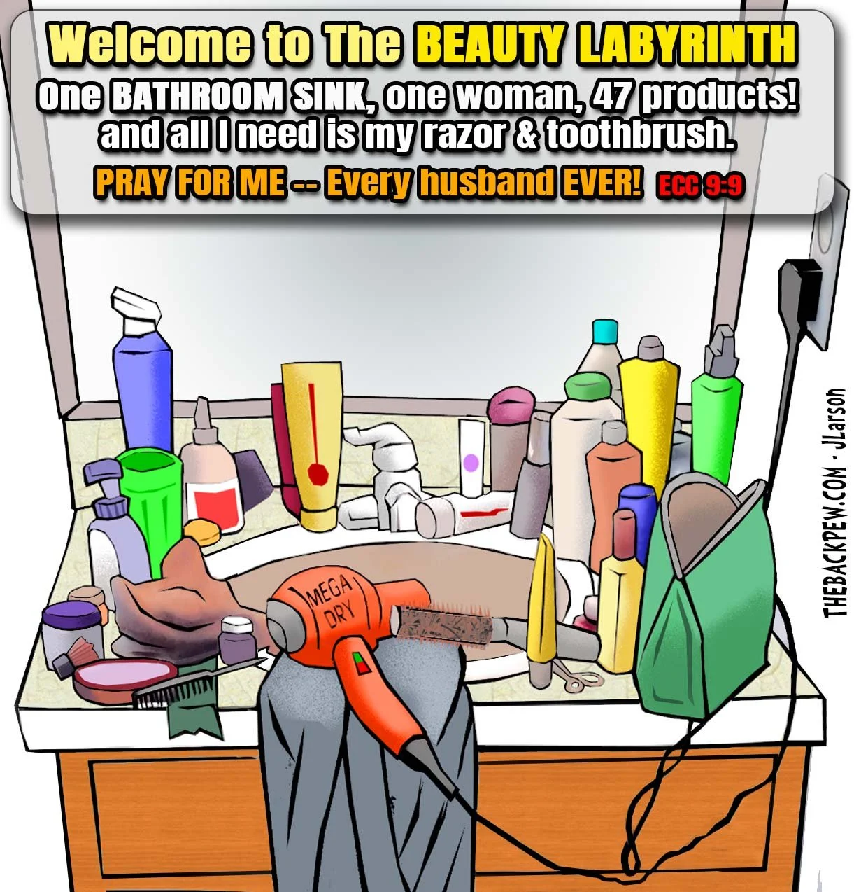 Ecclesiastes cartoon illustreating Ecclesiastes 9:9 with a bathroom sink