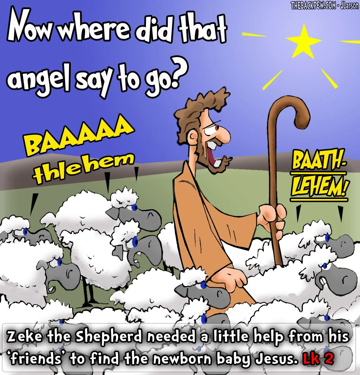 Christmas Cartoons - Sheep go to BAAAthlehem