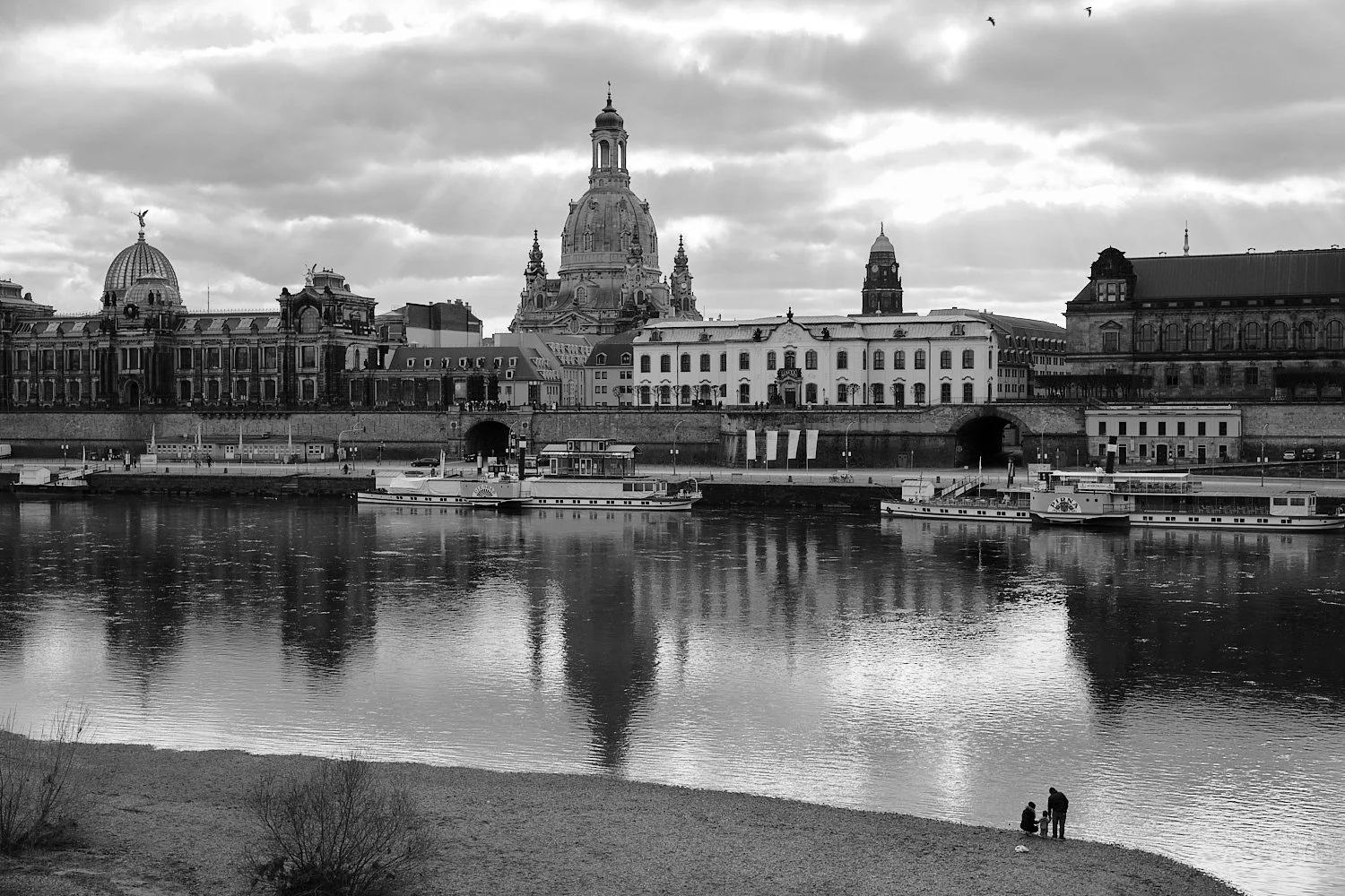 DSCF8481_Dresden Streetg_2025.jpg