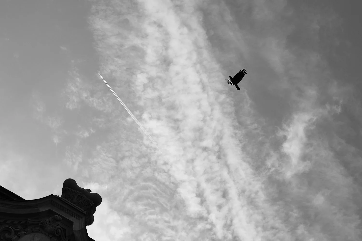 DSCF9325_Dresden Streetg_2025.jpg