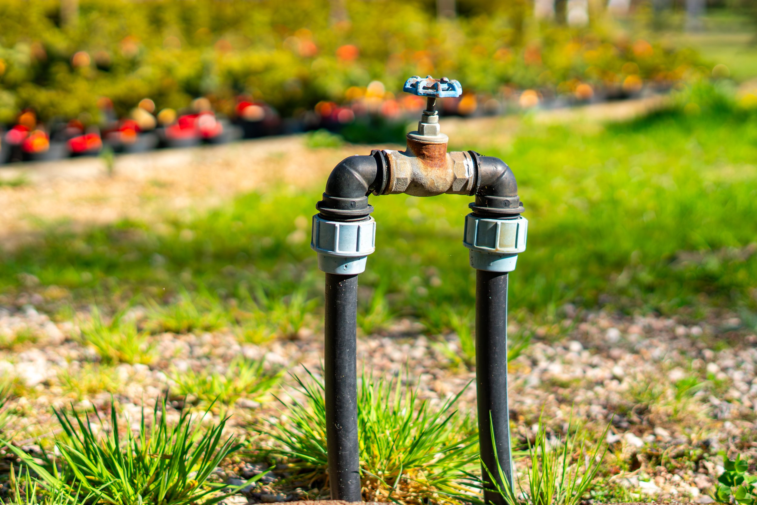 Summer Plumbing Problems To Watch Out For