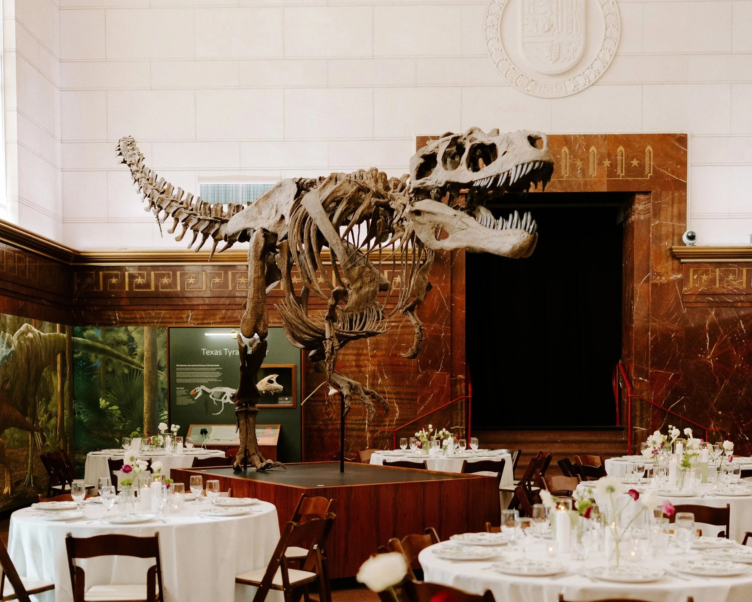 MORGANELISE-TEXASMUSEUMOFNATURALHISTORYANDSCIENCE-1604.jpg