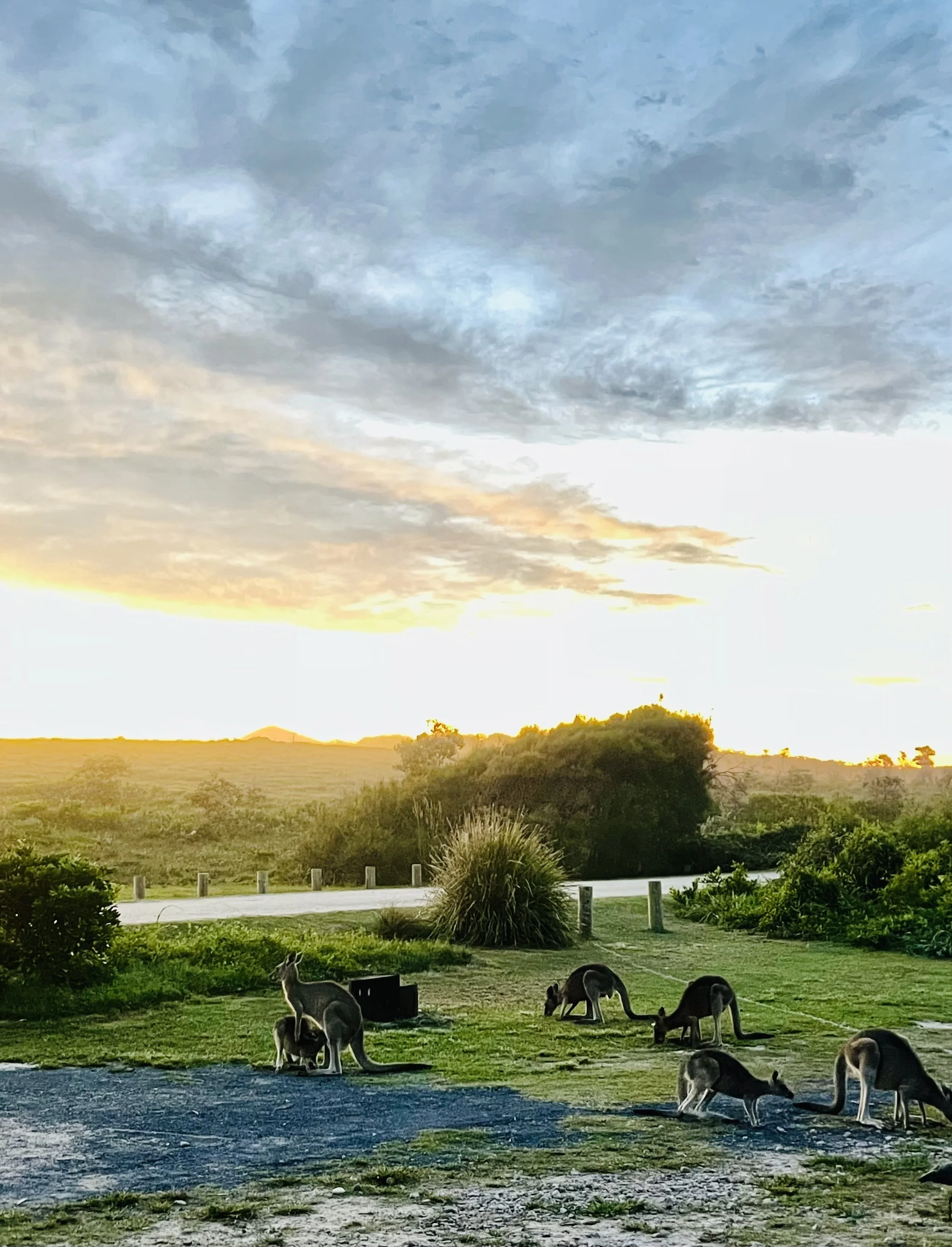 The Most Eventful Hire in Vamuz History (And Why I'd Do It All Again)