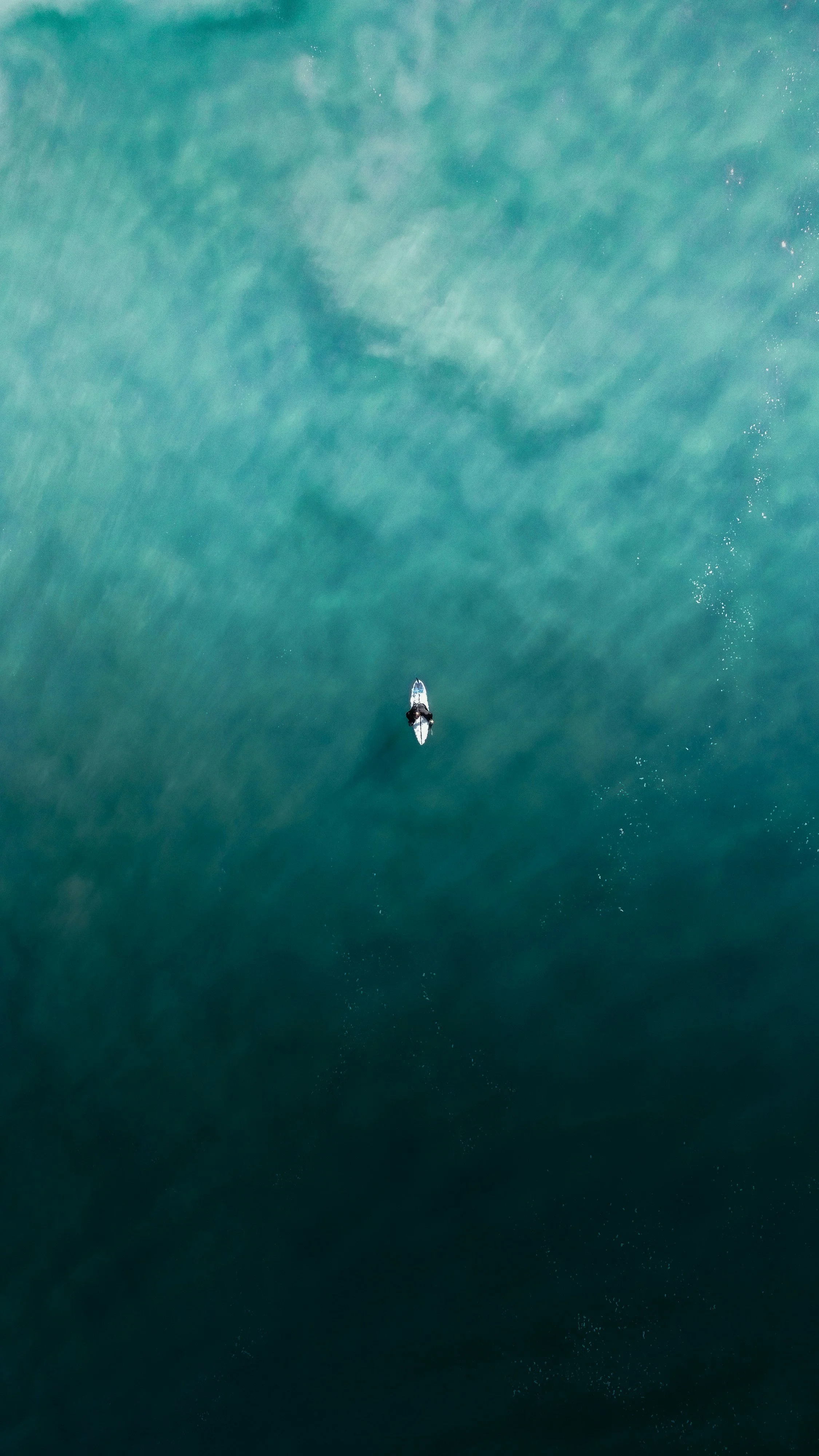 Sunshine Coast May- Bailey Cullen