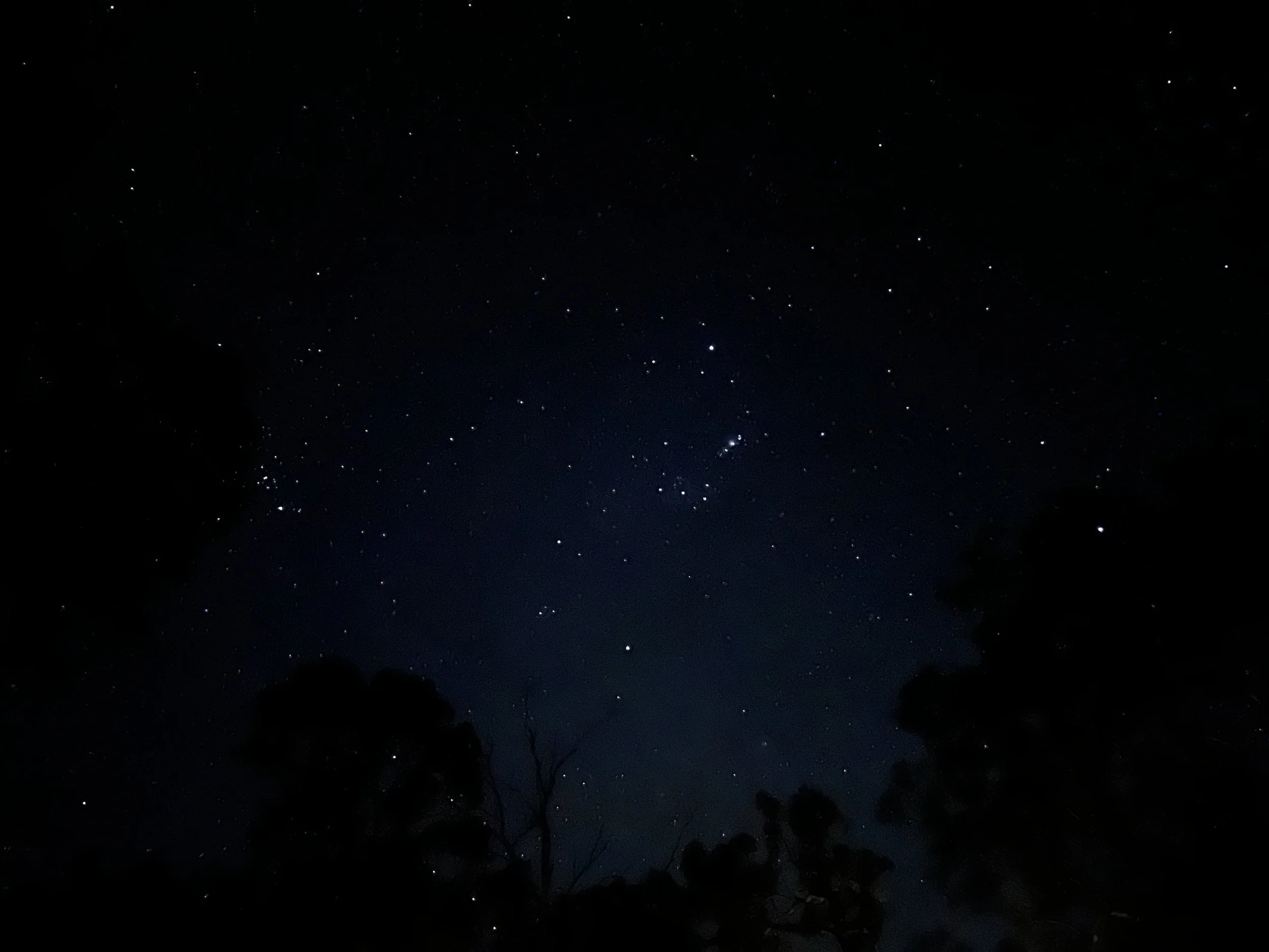 The stars are brighter in Agnes Water