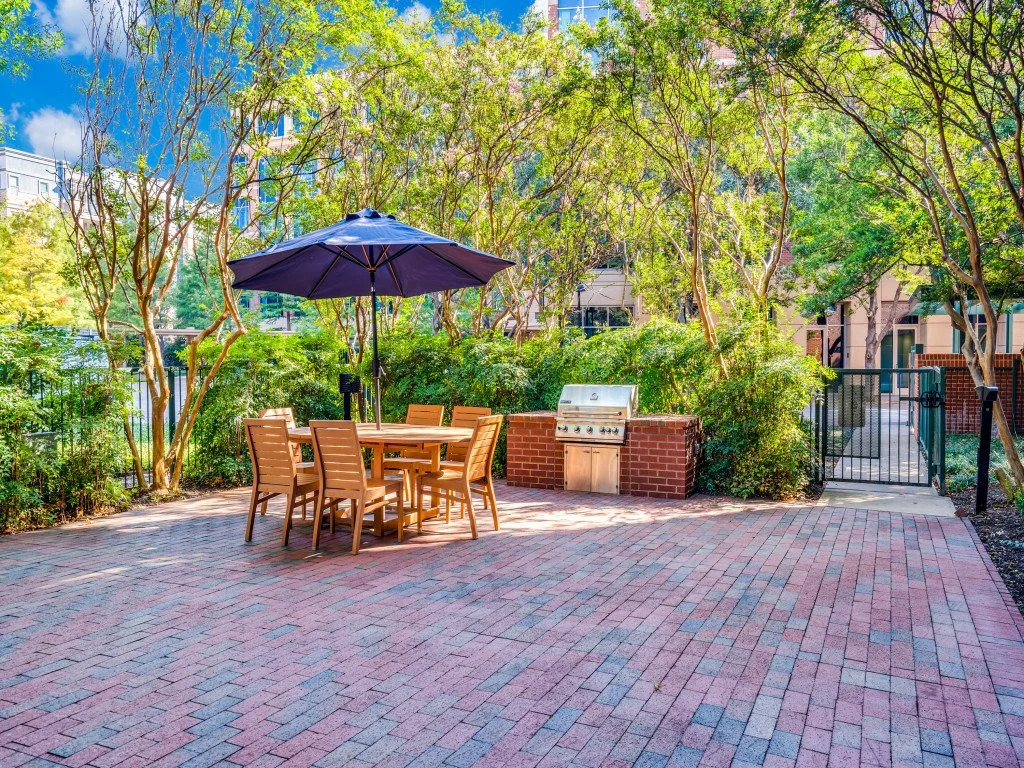 BBQ Grill and Picnic Table