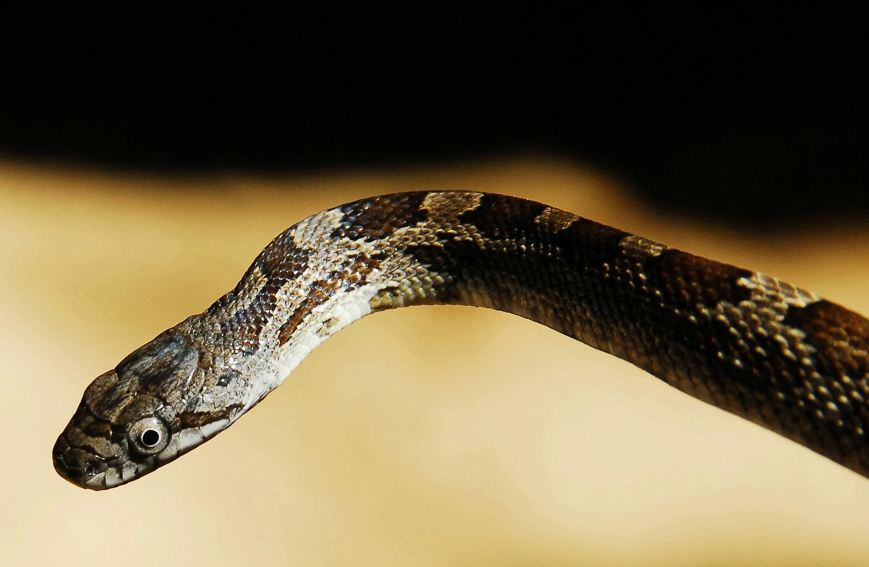 fall 06 337-Edit.jpg