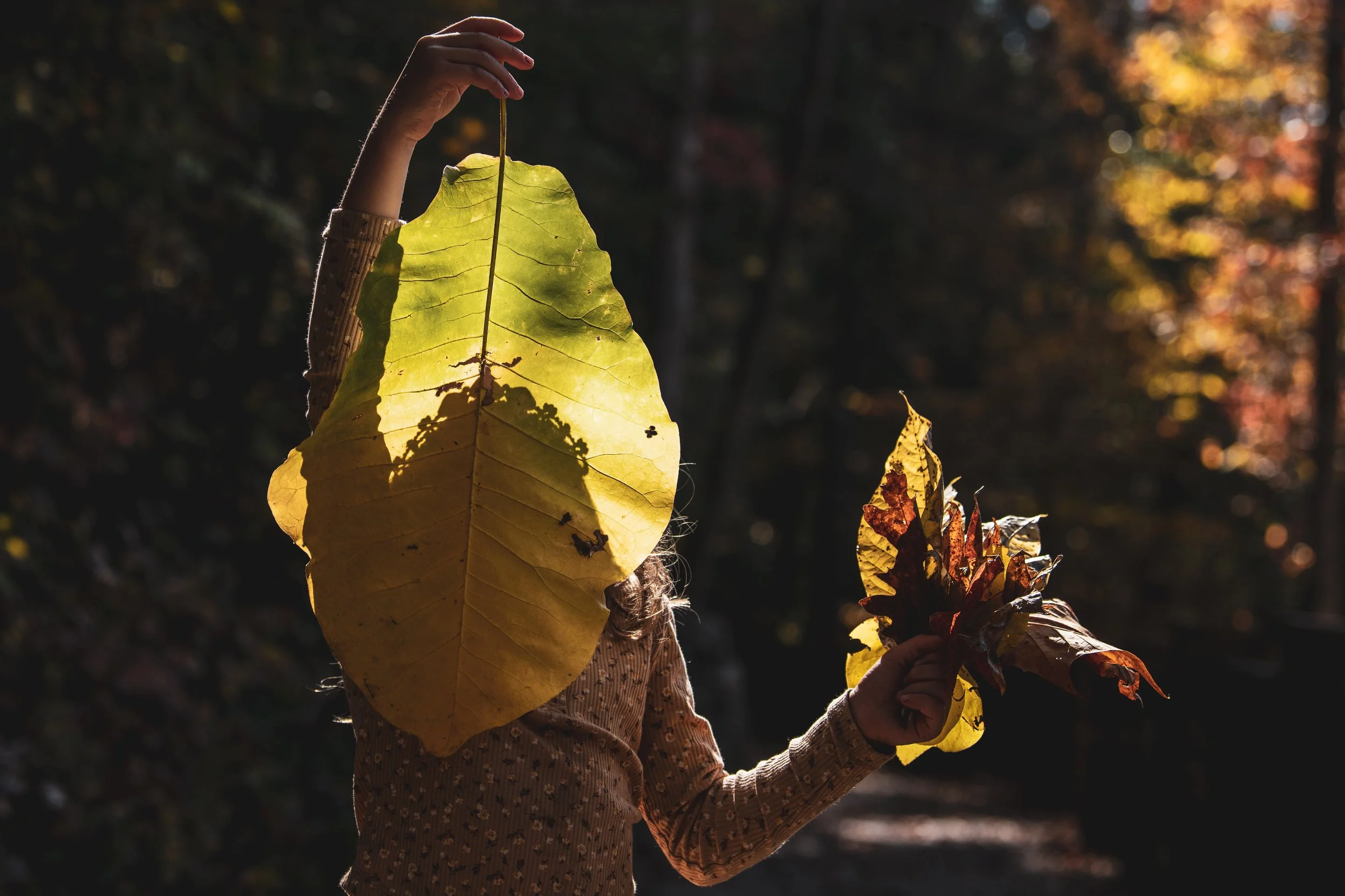 Creativity Without Approval: Connecting with the Child in You