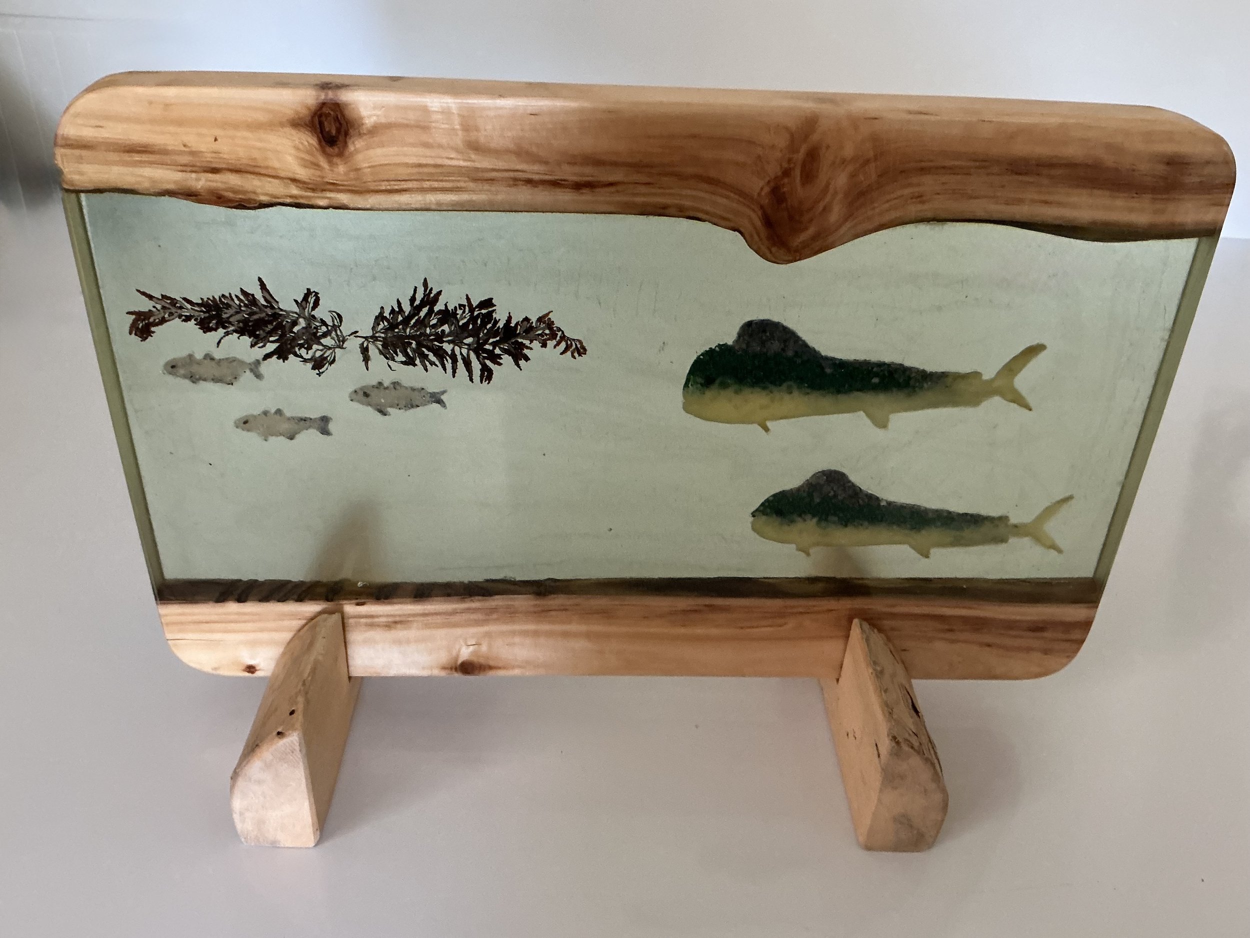 A 17 mahi IMG_0294.jpg