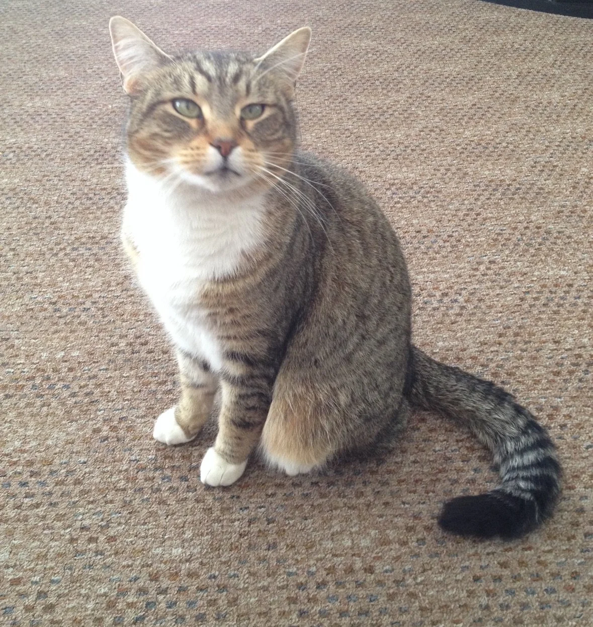 View recent photos.jpeg