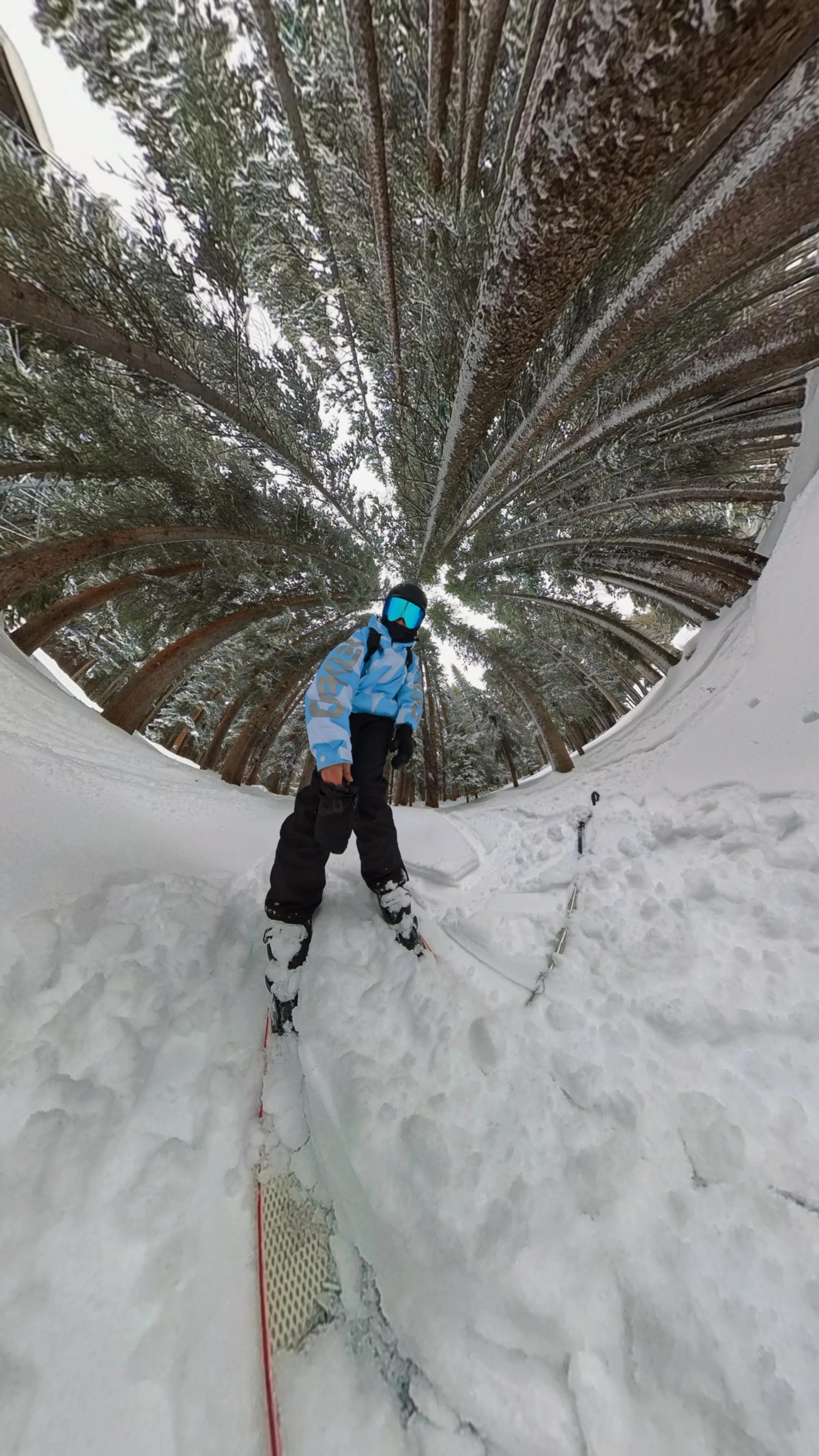 ski.jpg