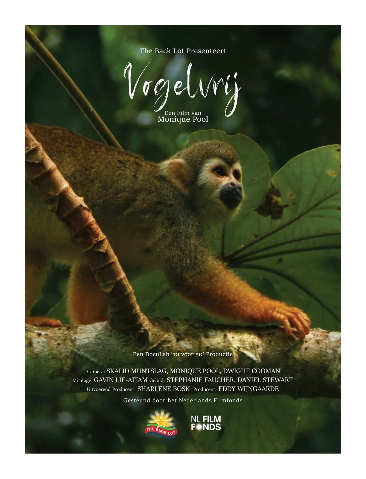 2025 - Line Producer