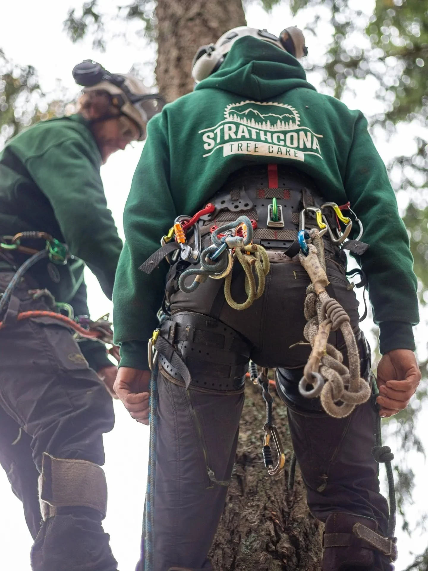 Big Shout out to Will Clayton for hosting our annual Aerial rescue training! Your leadership, knowledge and commitment to safety are legendary. 💪🙌🌲🦺⛑️