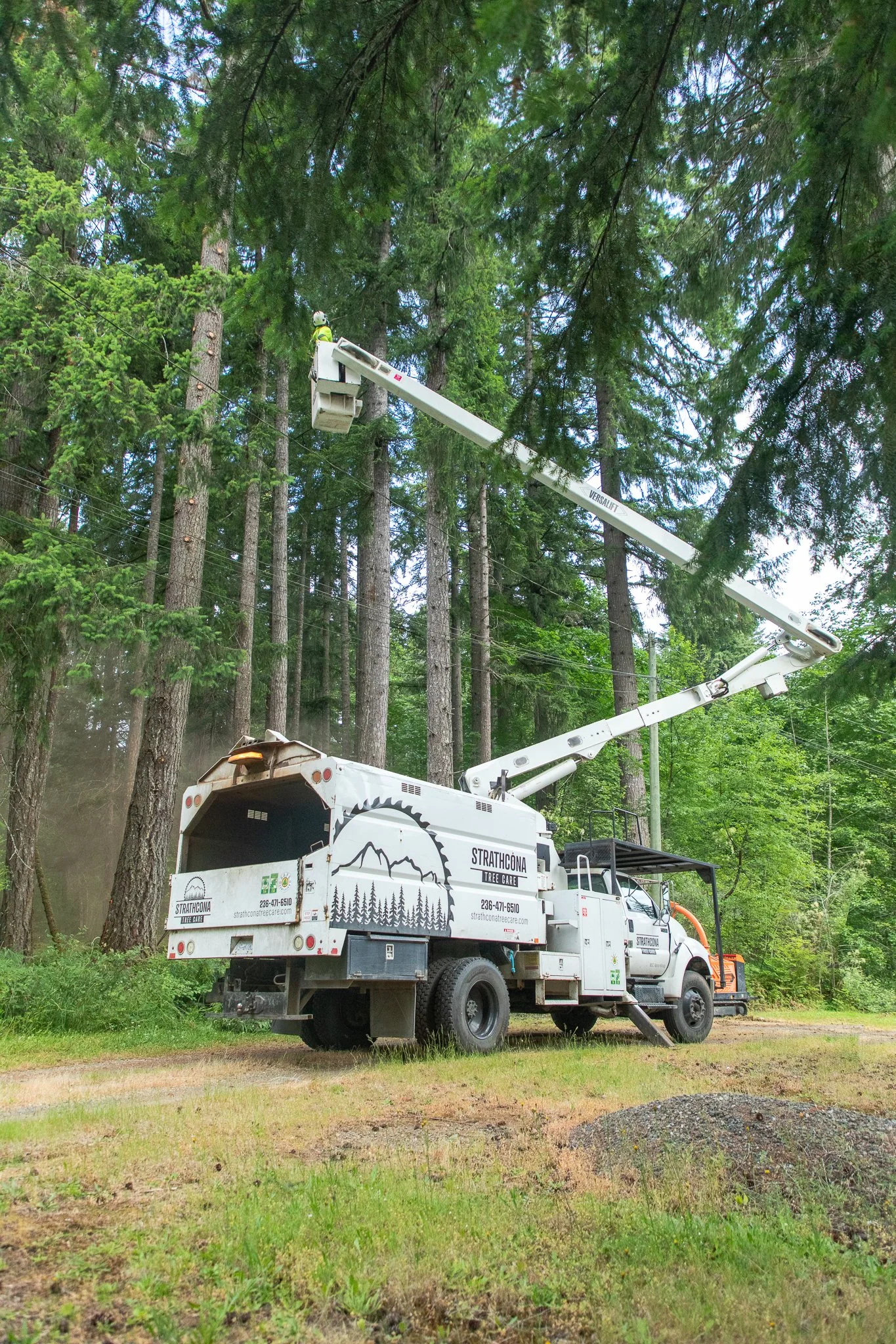 ISA Certified Arborist using bucket truck to perform safe tree removal -  Vancouver Island - British Columbia - Strathcona Tree Care - Bucket Truck Safety Equipment