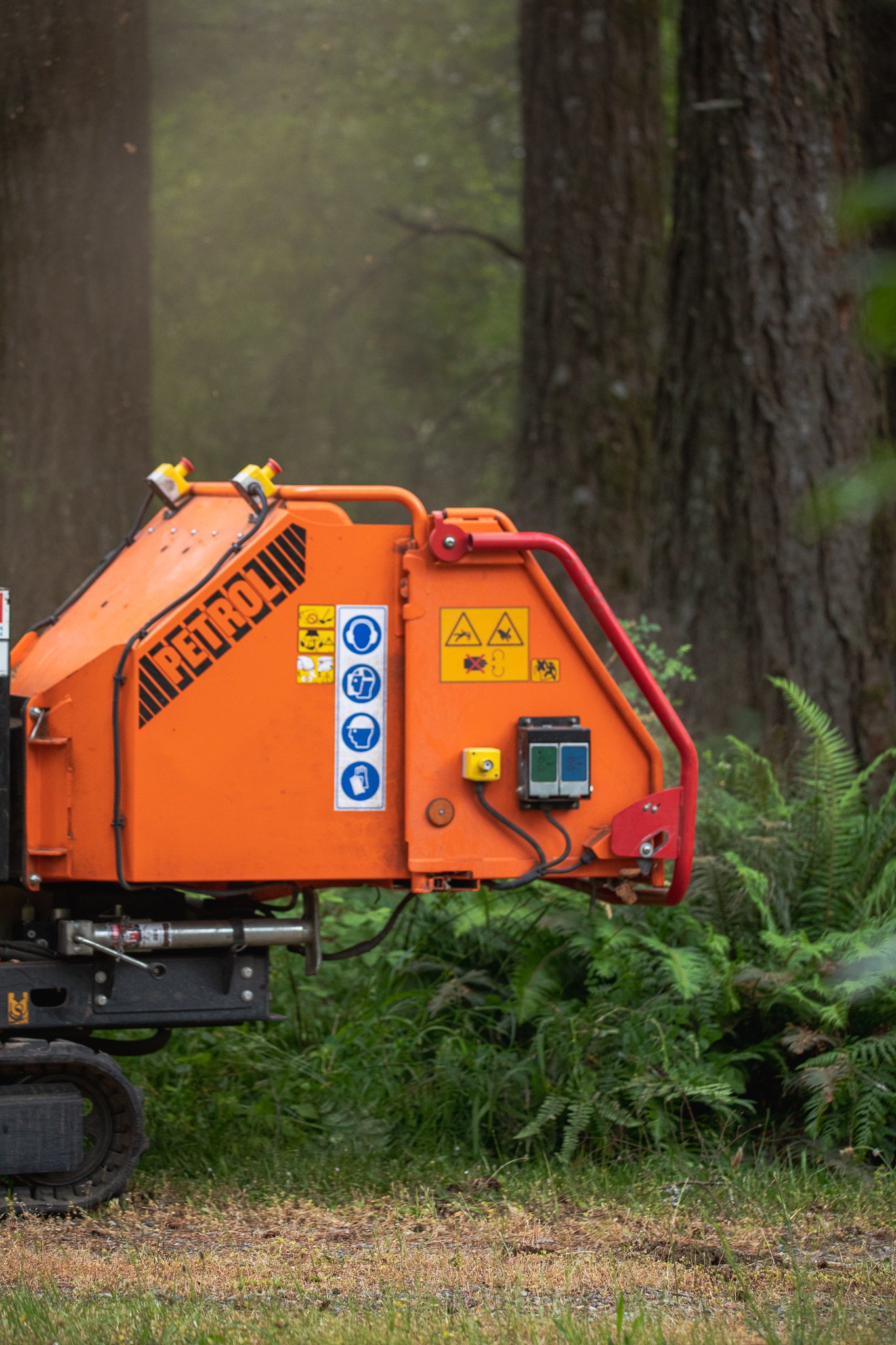 ISA Certified Arborist On-Site - Tree Reduction - Chipping Branches - Recycling - Vancouver Island - British Columbia